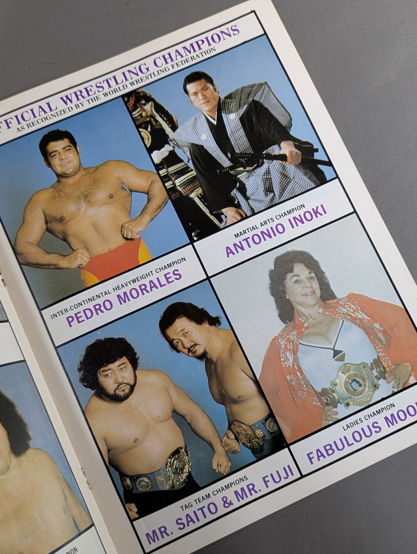 ★バックランドvsアドニス 王座戦★ W.W.F. CHAMPIONSHIP WRESTLING OFFICIAL PROGRAM MAGAZINE No.50