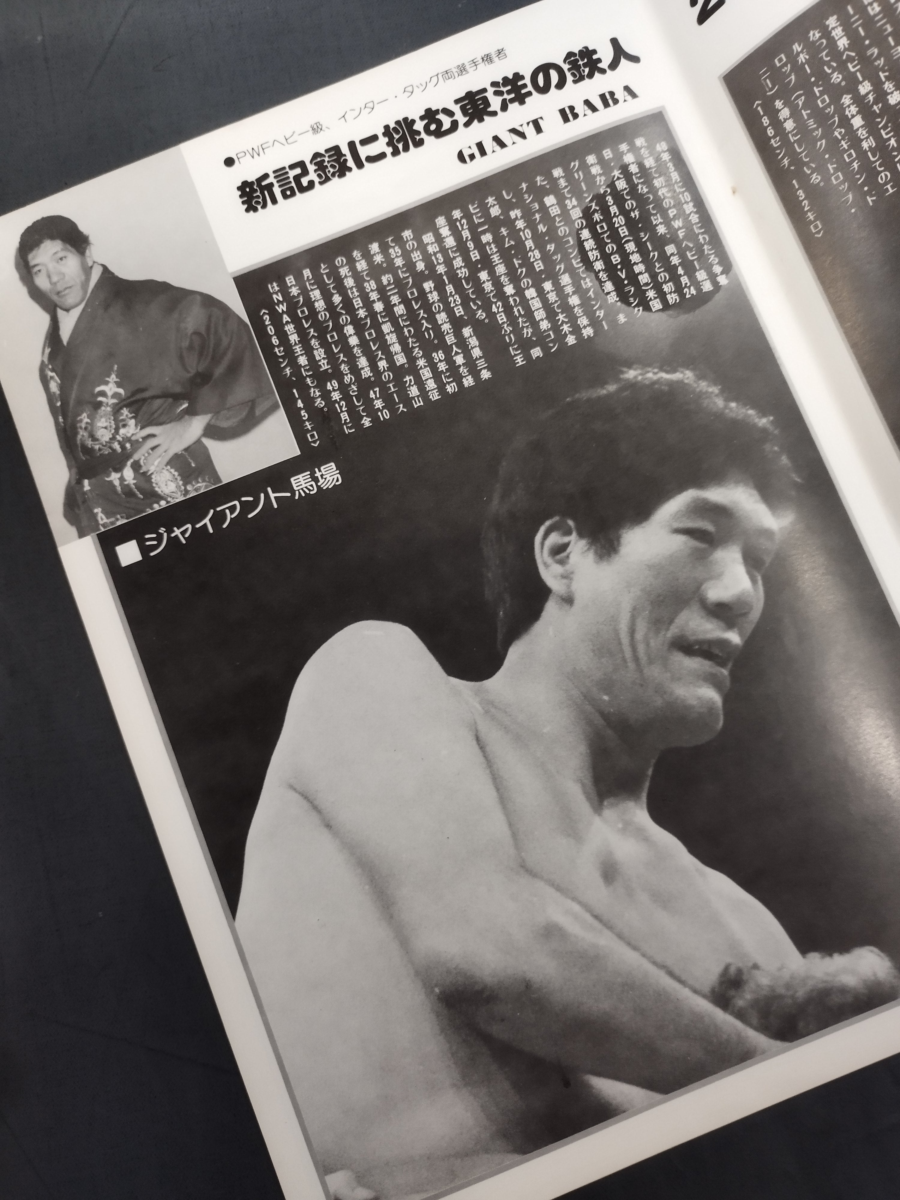 ☆優勝決定戦☆ 77第5回チャンピオン・カーニバル – 闘道館