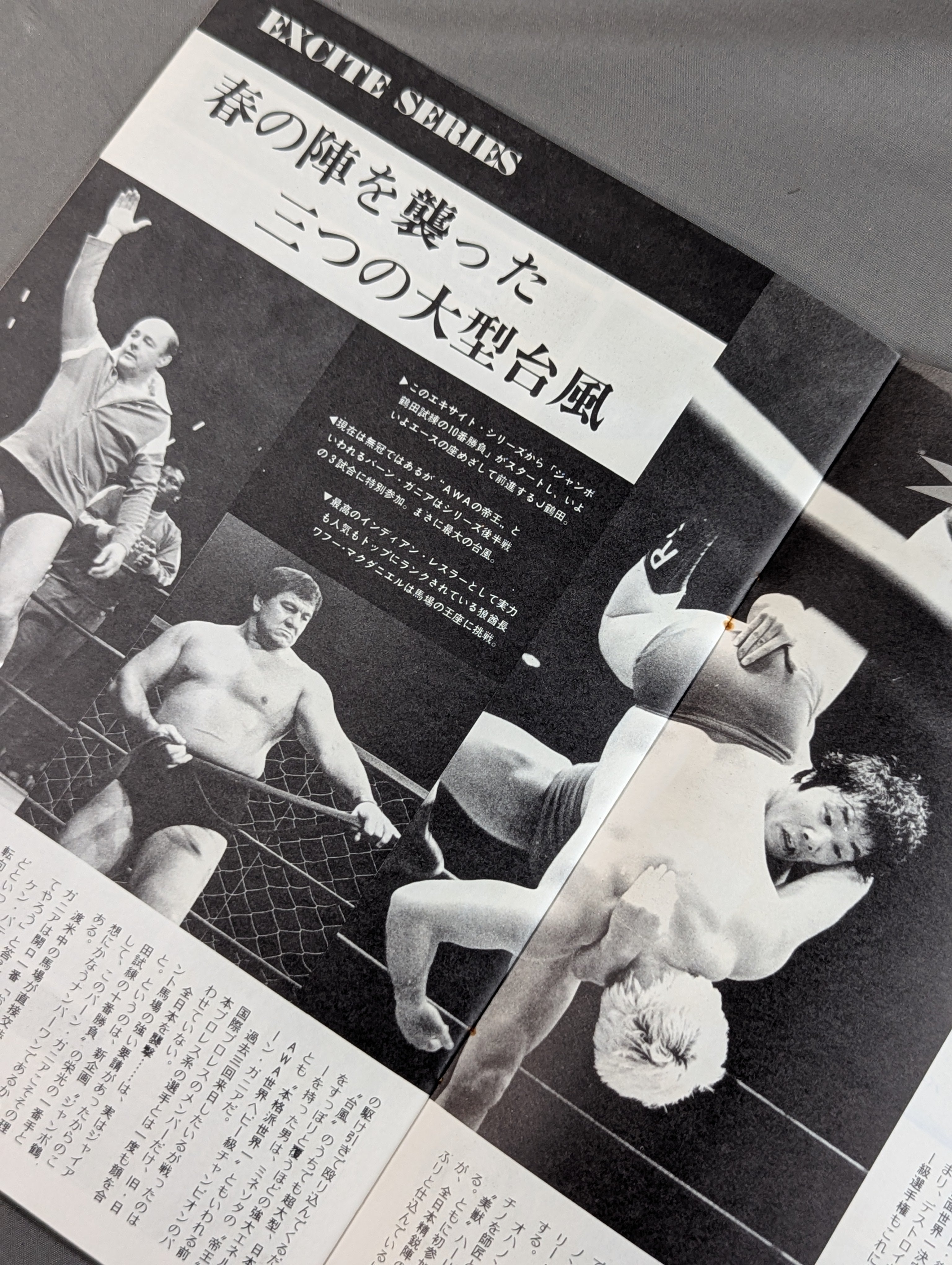 ☆鶴田vsバーン・ガニア☆ 76エキサイト・シリーズ – 闘道館