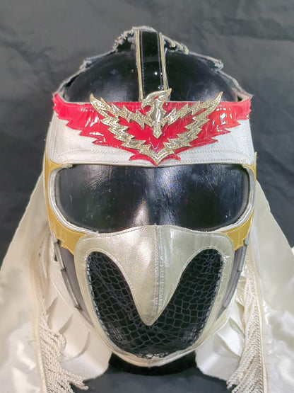 HAYABUSA 