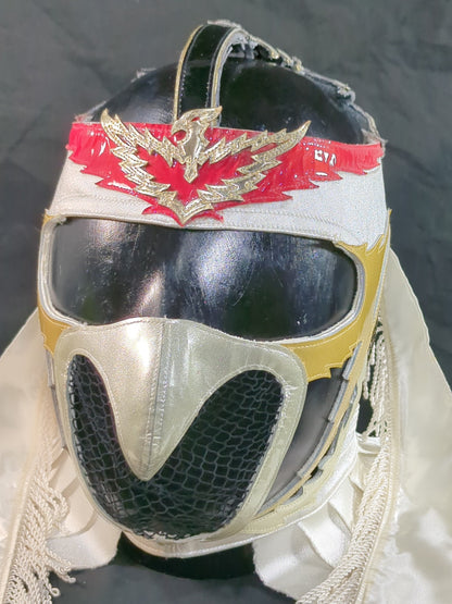 HAYABUSA 