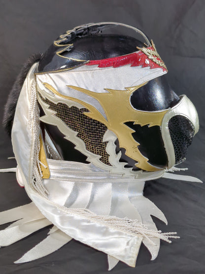 HAYABUSA 