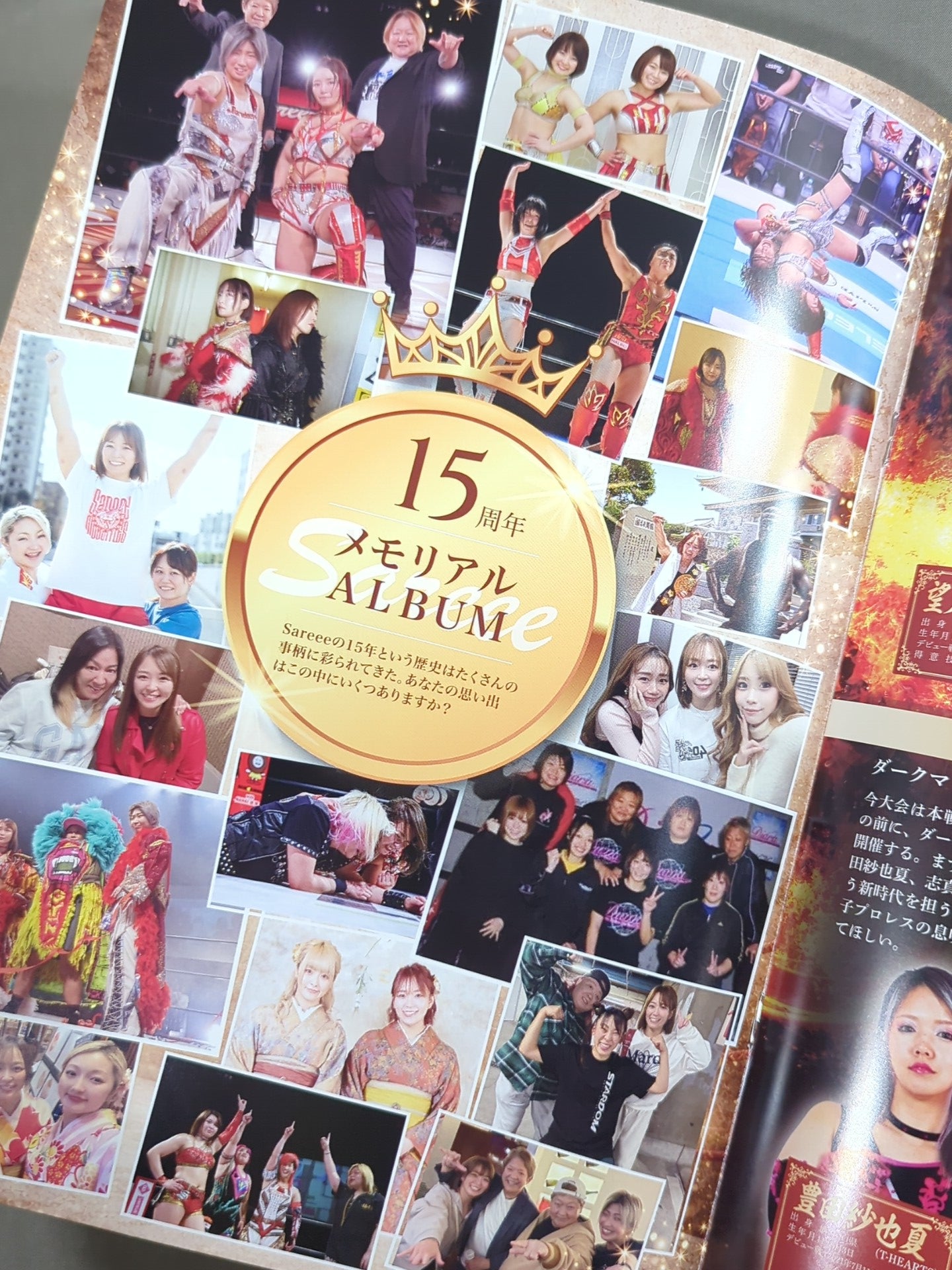 Sareee ISM Chapter X 太陽神Chronicle 15th ANNIVERSARY – 闘道館