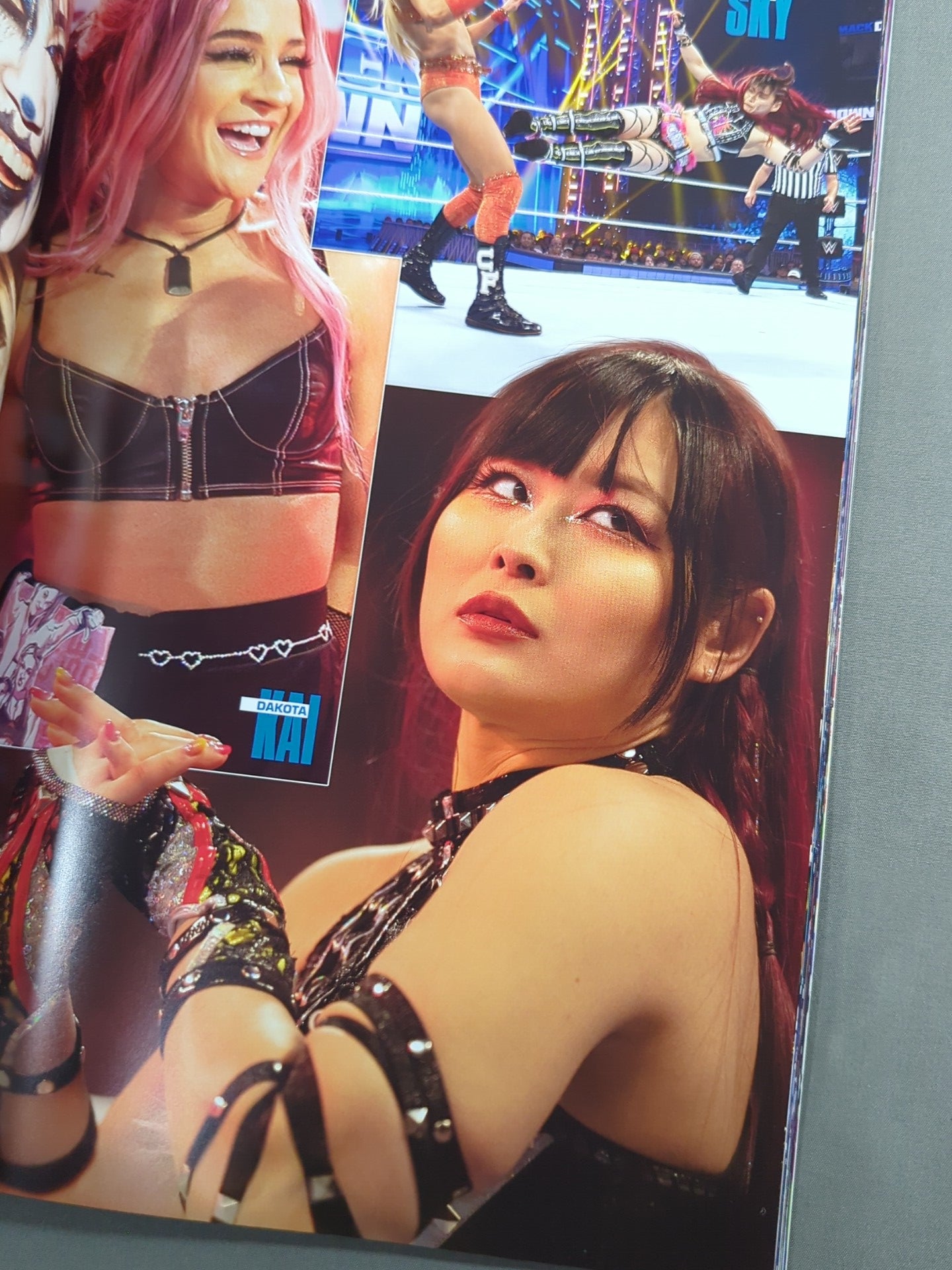 WWE OFFICIAL PROGRAM 2024