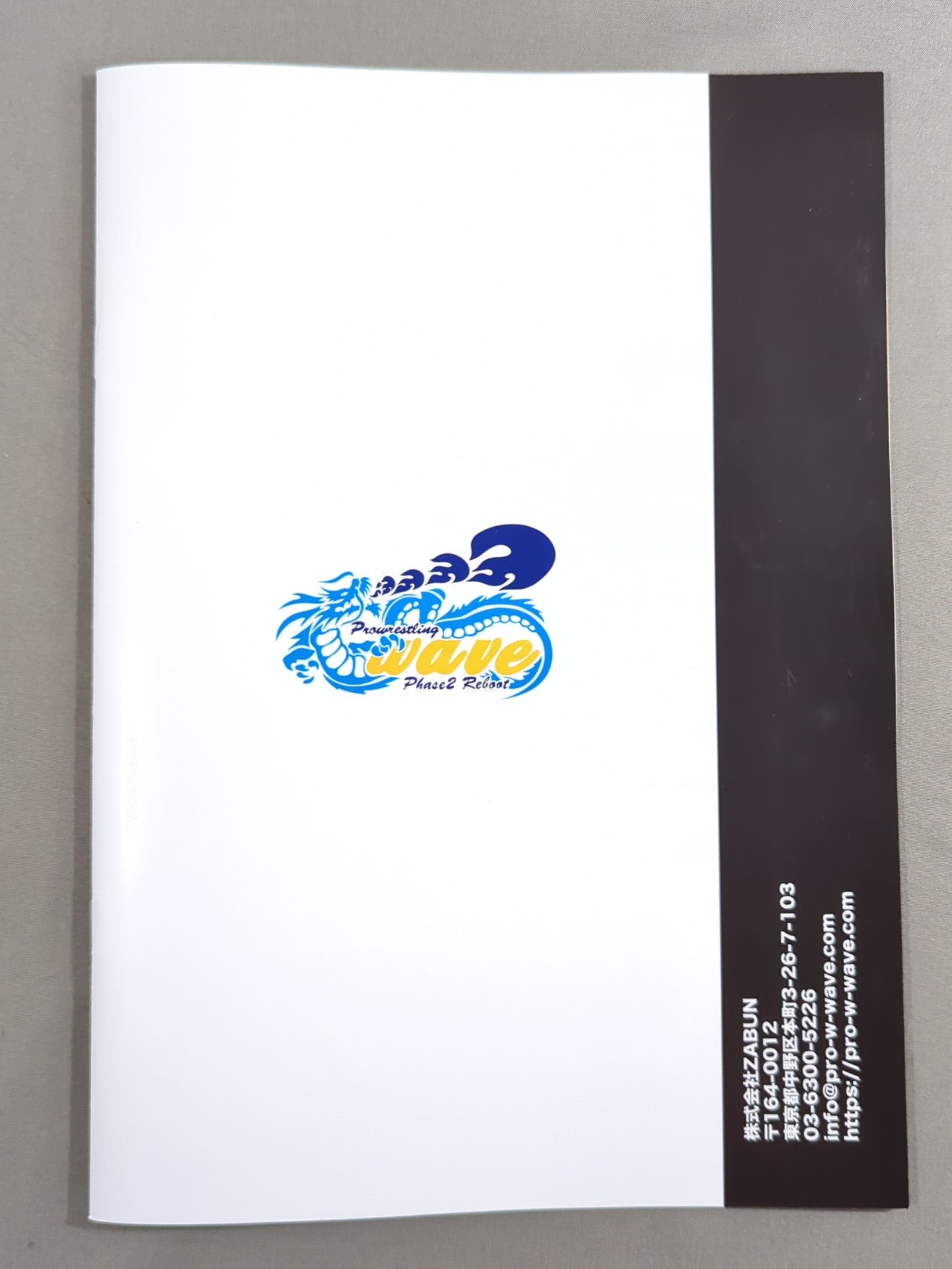 Pro-wrestling WAVE OSALA RHAPSODY Vol.67