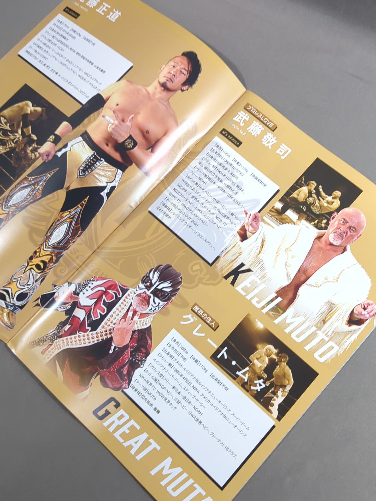 プロレスリング・ノア OFFICIAL GUIDE BOOK vol.4