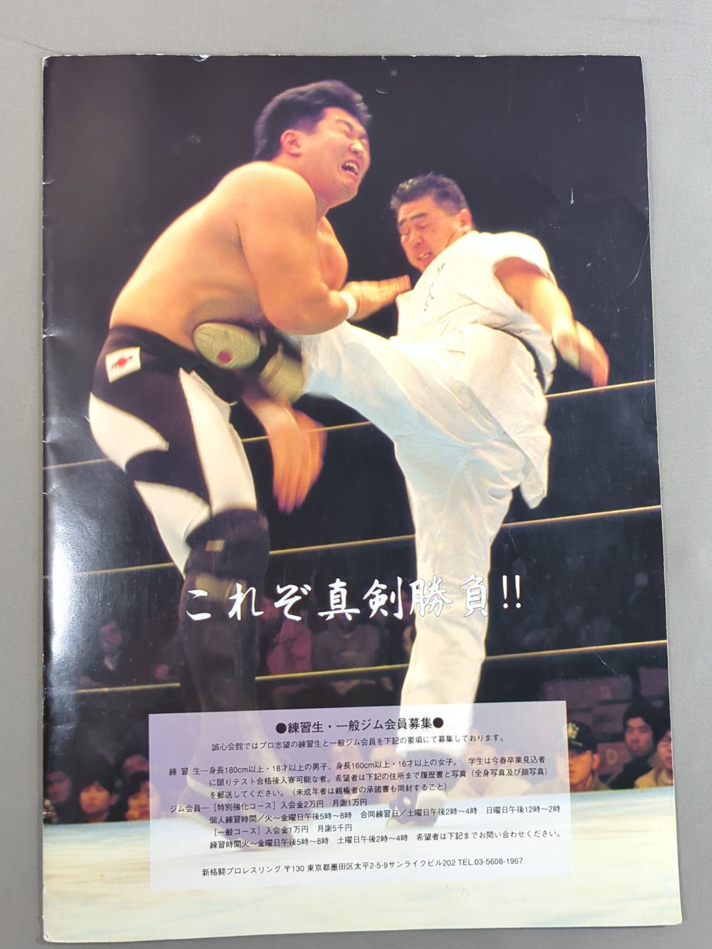 【Masashi Aoyagi hand signed autograph 】New Fighting Pro-wrestling  "RISING SUN"