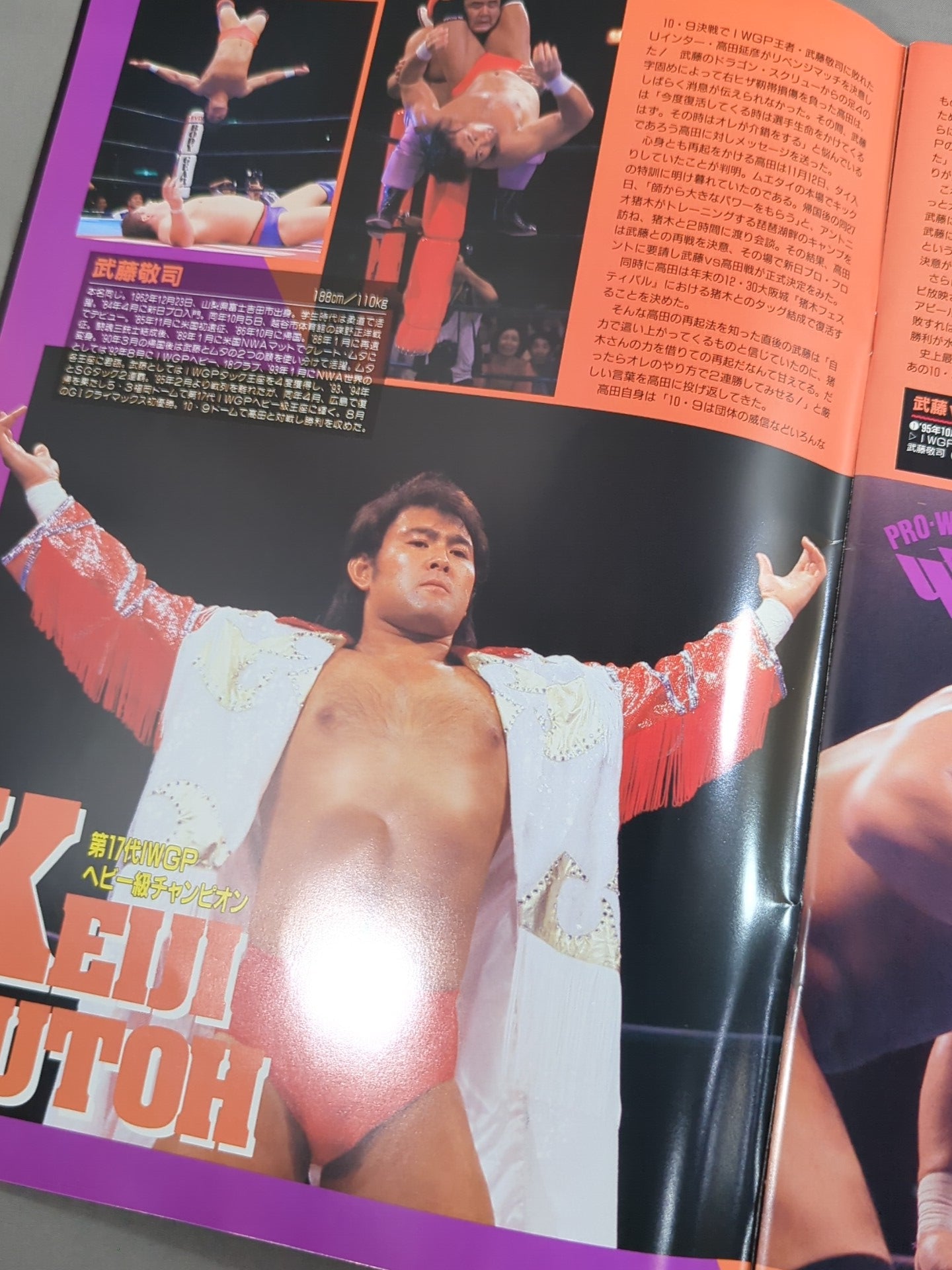☆高田vs武藤 第2戦☆ 96WRESTLING WORLD in闘強導夢 – 闘道館