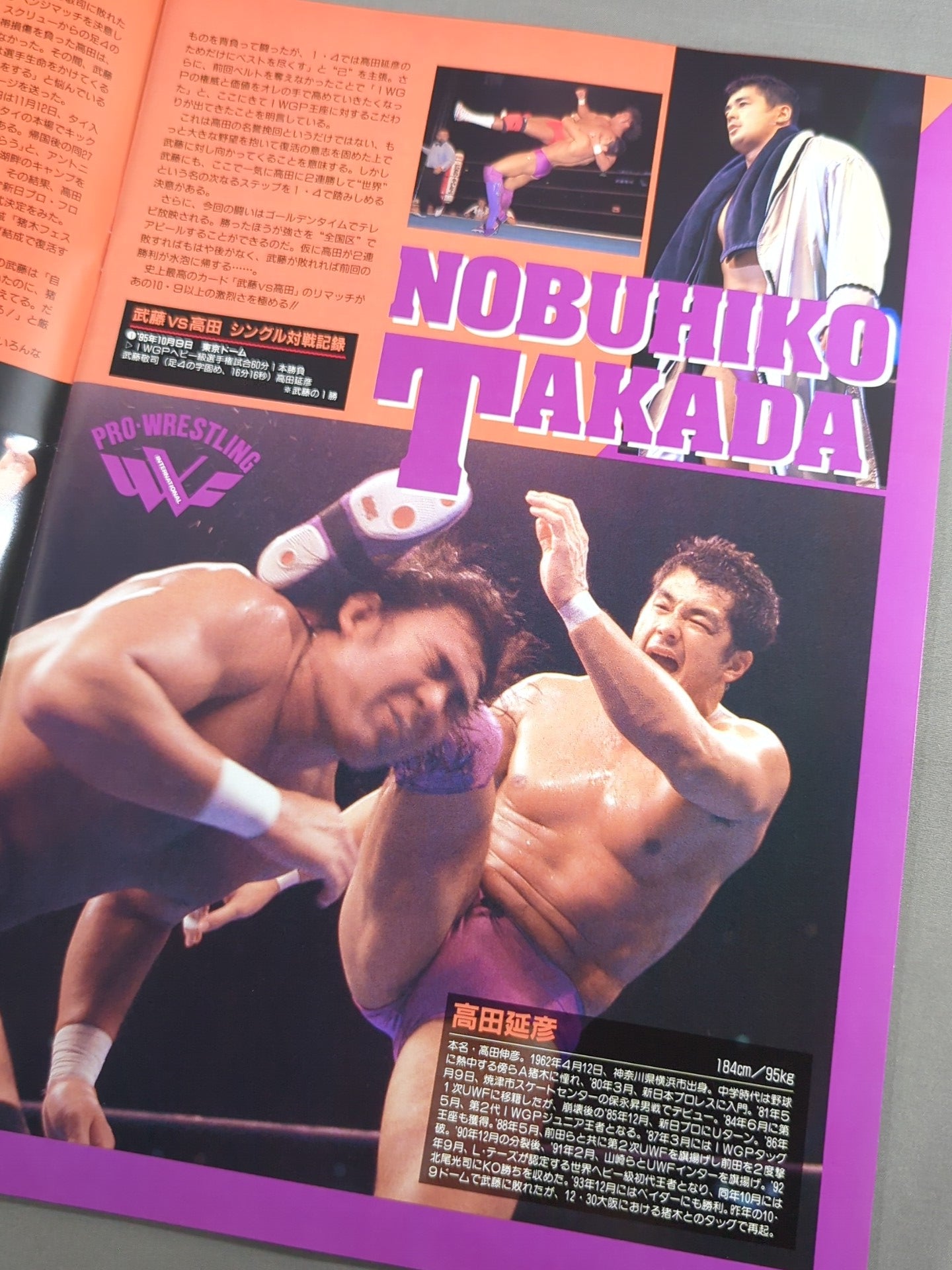 ☆高田vs武藤 第2戦☆ 96WRESTLING WORLD in闘強導夢 – 闘道館