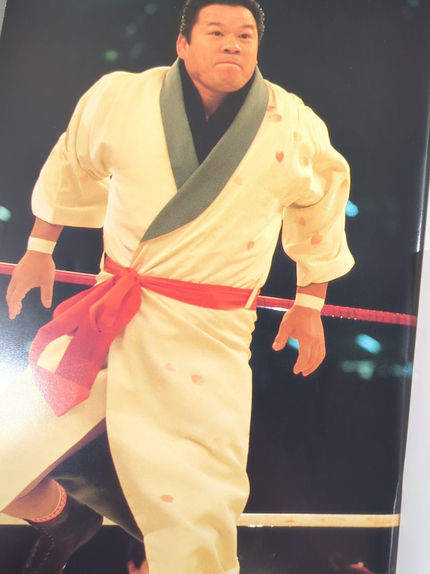 THE LEGEND OF DRAGON 藤波辰爾20周年記念シリーズ – 闘道館