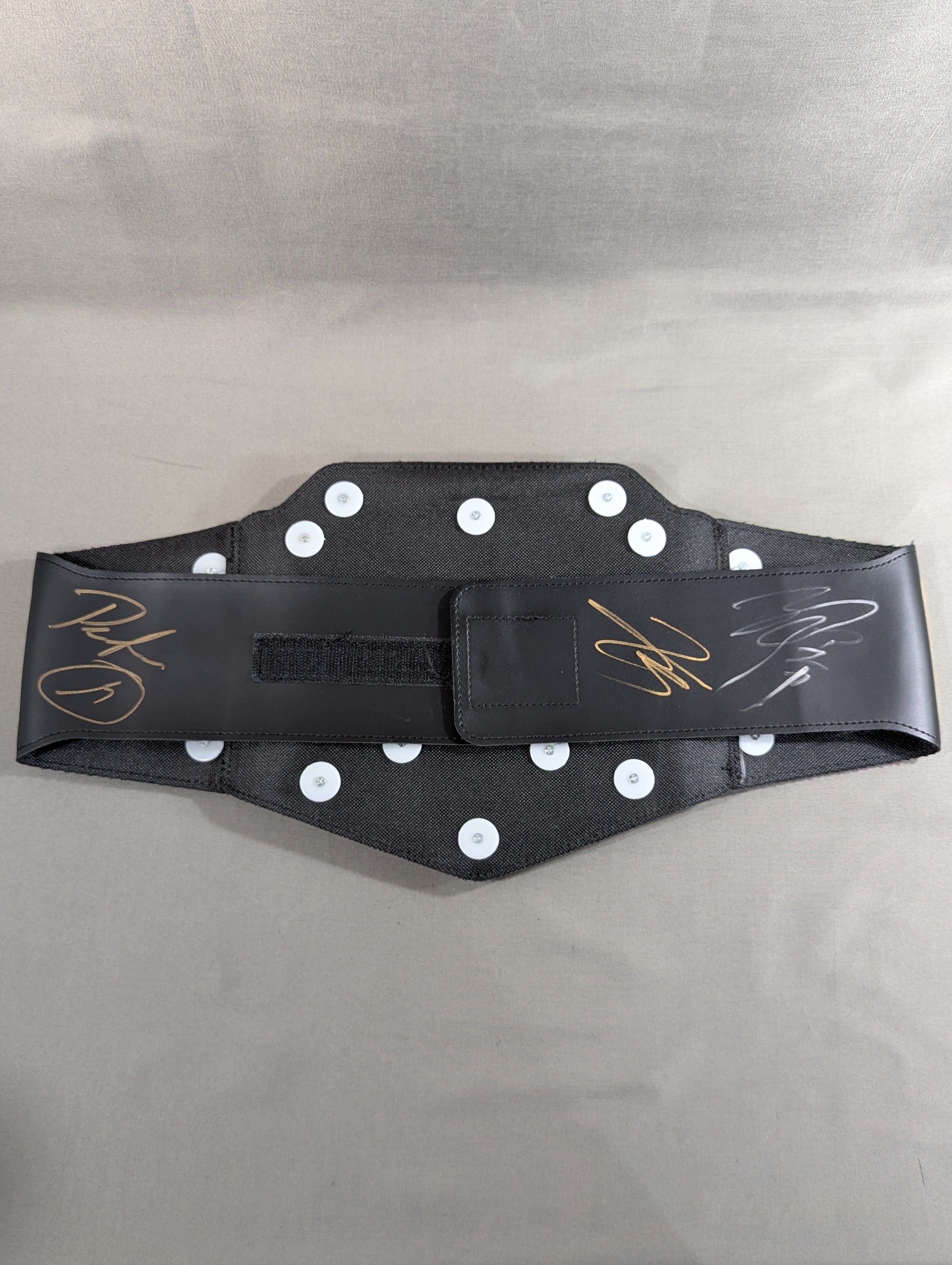 3選手直筆サイン入り】WWE UNDISPUTED WWE CHAMPIONSHIP BELT