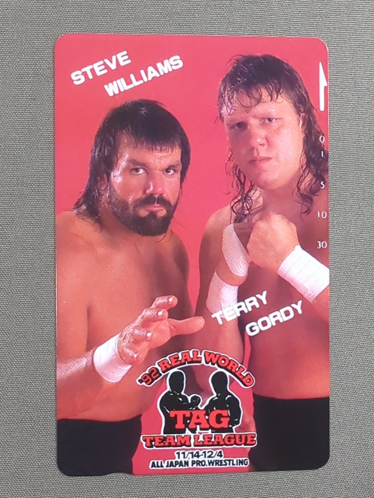Steve Williams & Terry Gordy 92 Real World Tag League