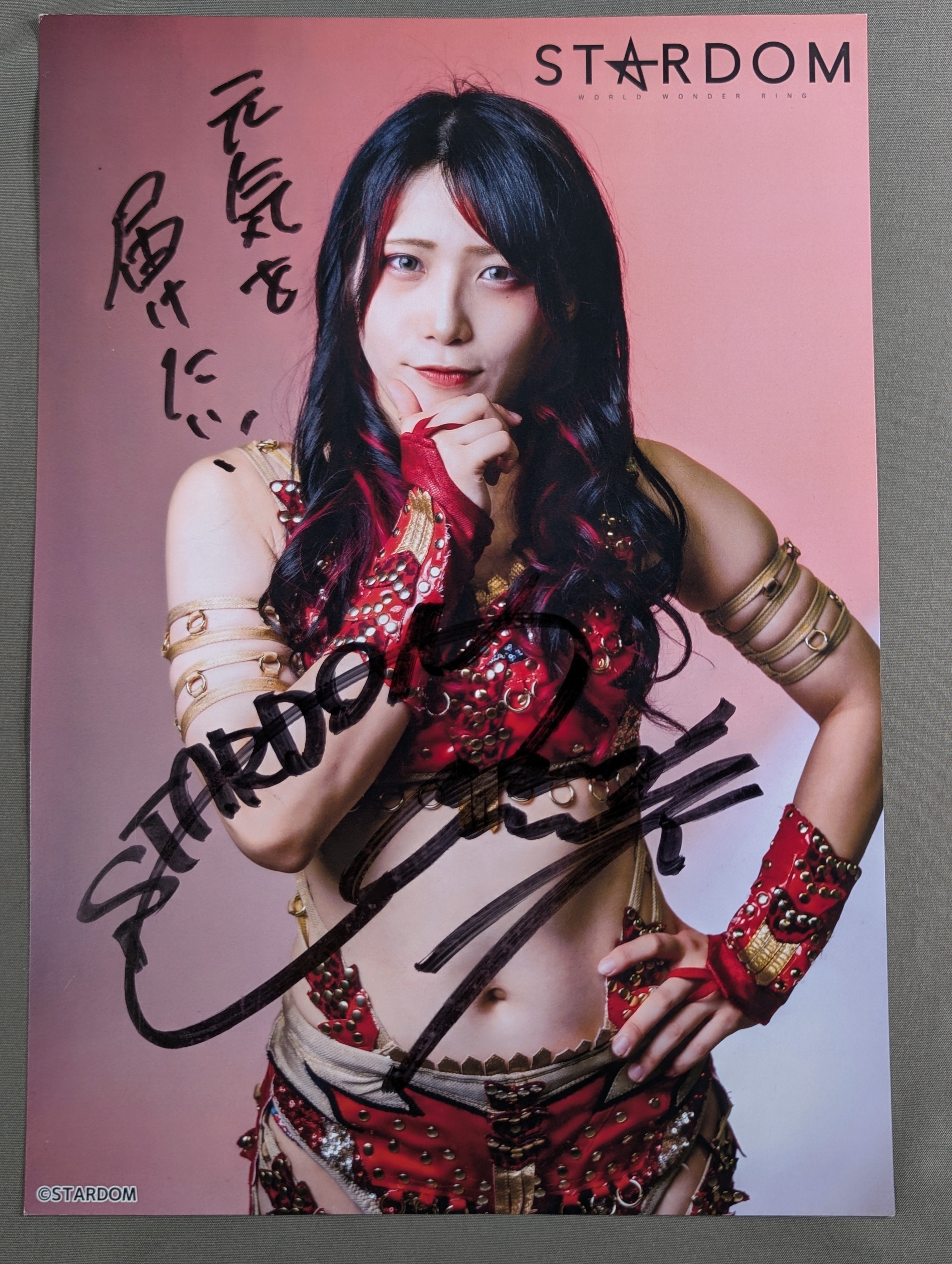 林下詩美 直筆サイン入り スターダムポートレート(V-5) – 闘道館
