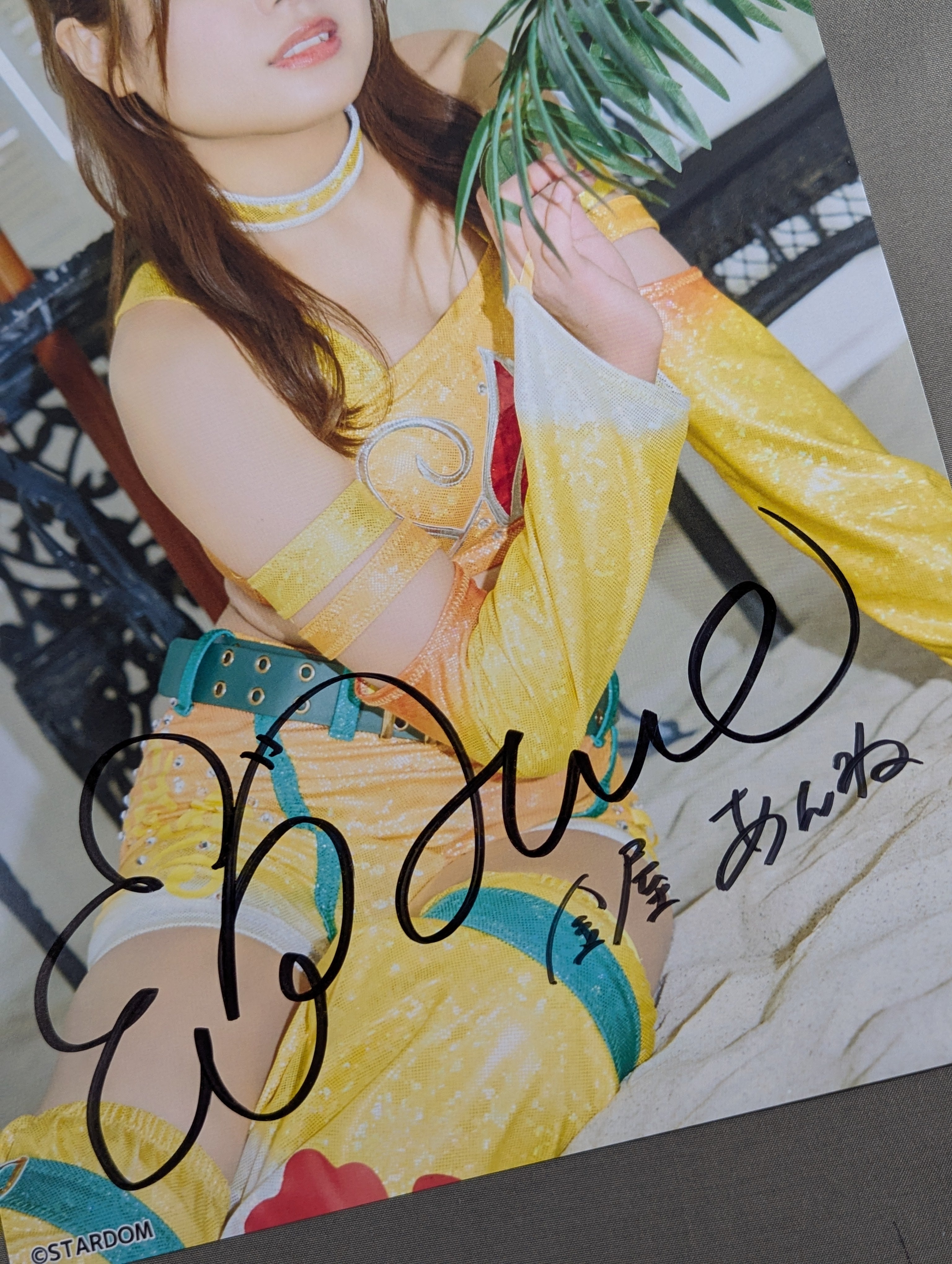 【直筆サイン入り】金色のガッシュ　タペストリー【1点のみ】 Amazon.co.jp: 直筆サイン・ロットナンバー入り金色のガッシュ複製原画