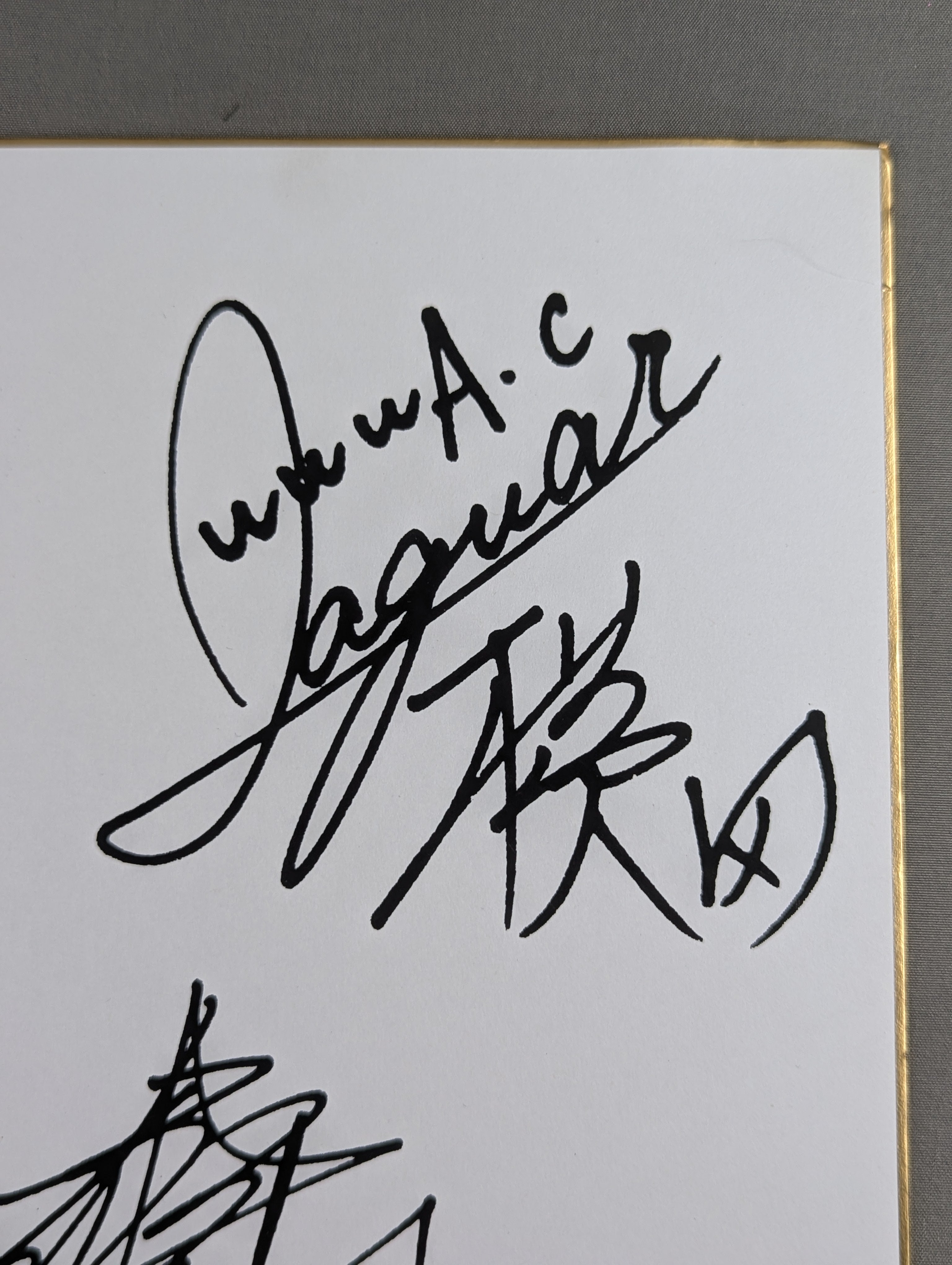 avemugica サイン Jaguar Yokota & Masami Devil Autograph is printed (photo attached