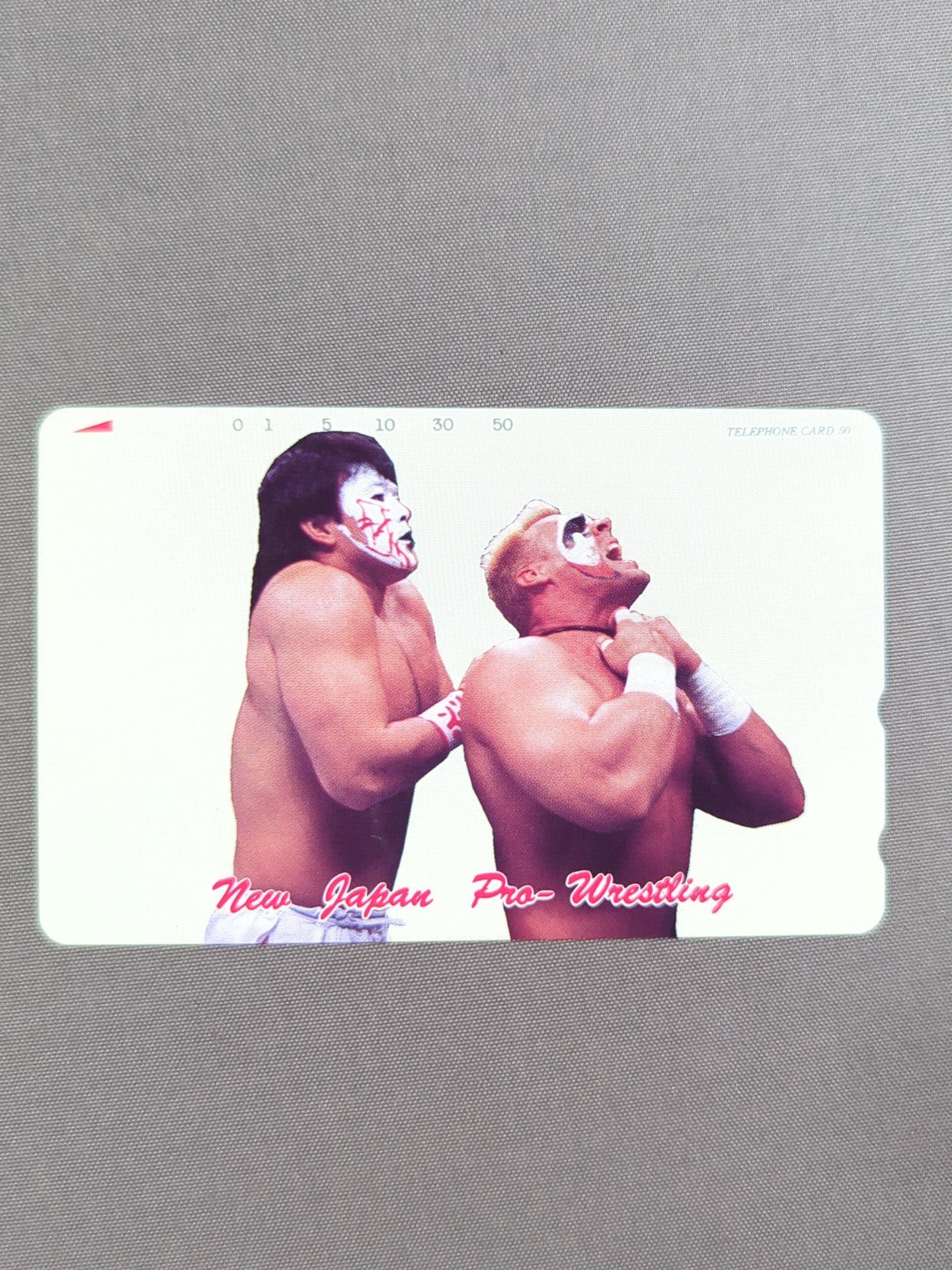 グレート・ムタvsスティング New Japan Pro-Wrestling – 闘道館