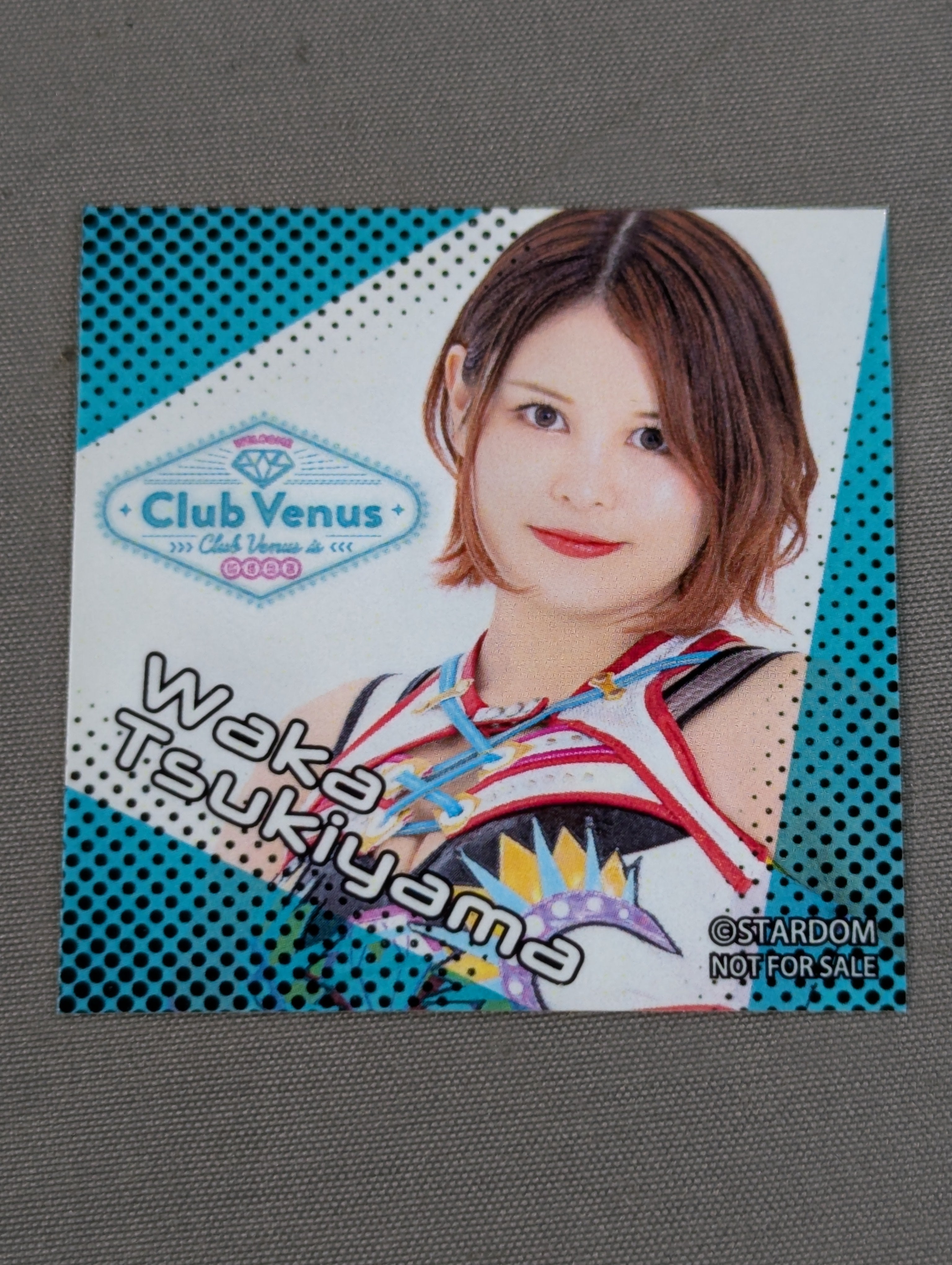 ☆非売品☆ 月山和香 SPG限定 ノベルティステッカー – 闘道館