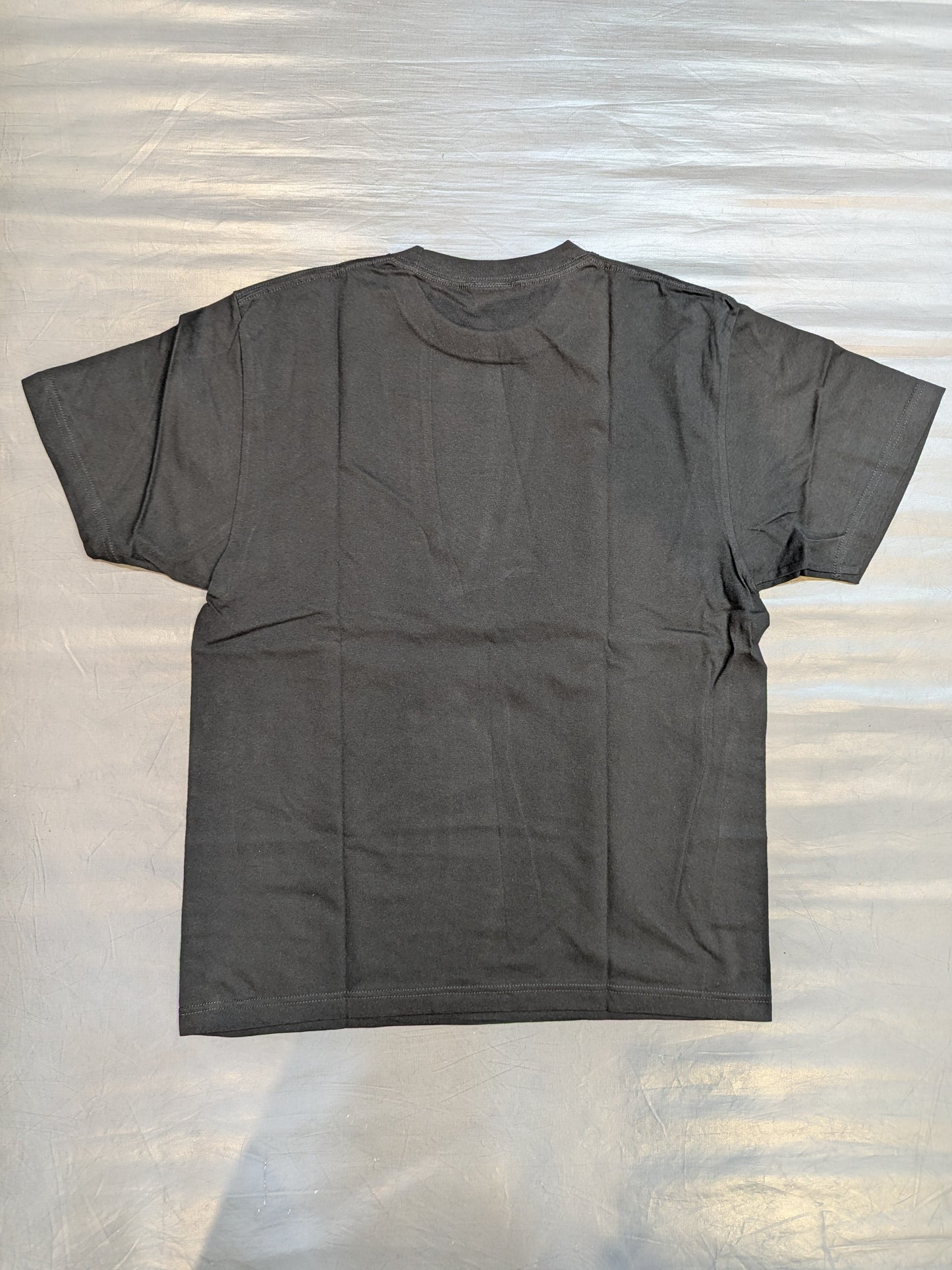 Naomichi Marufuji & Kenoh  vs BUSHI & XXXX Visual T-Shirt
