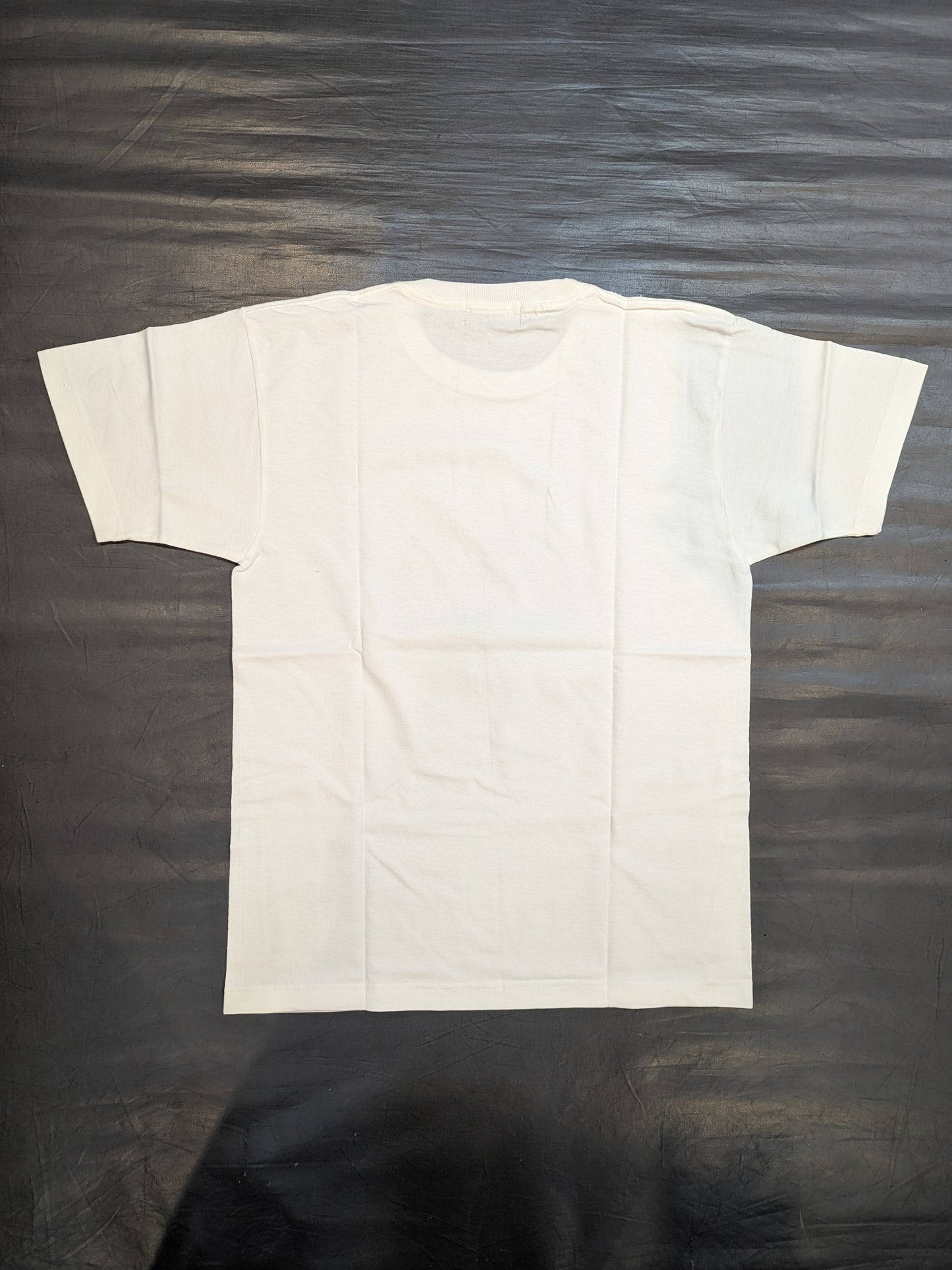 三沢光晴「GREAT VOYAGE’09」フォトTシャツ