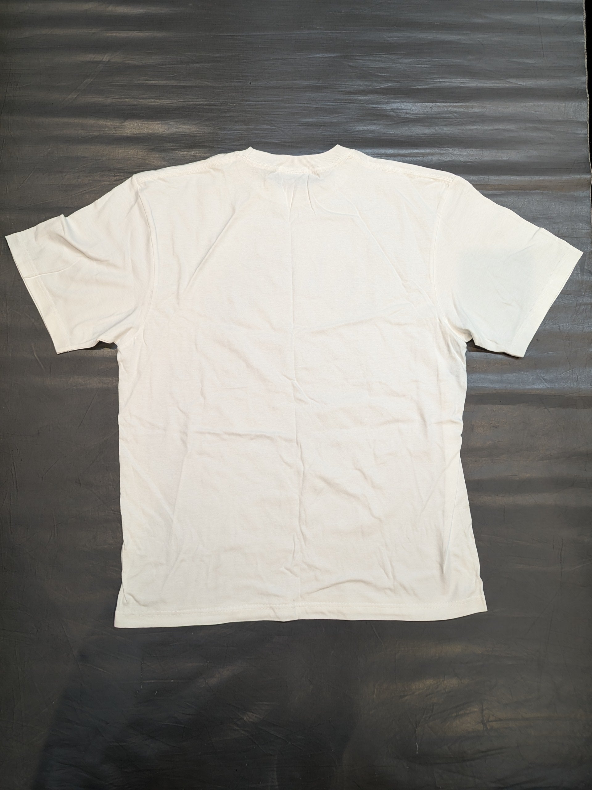 直筆サイン入り】AMAKUSA「愚問」Tシャツ(MONSTERS GRAPHICS) – 闘道館