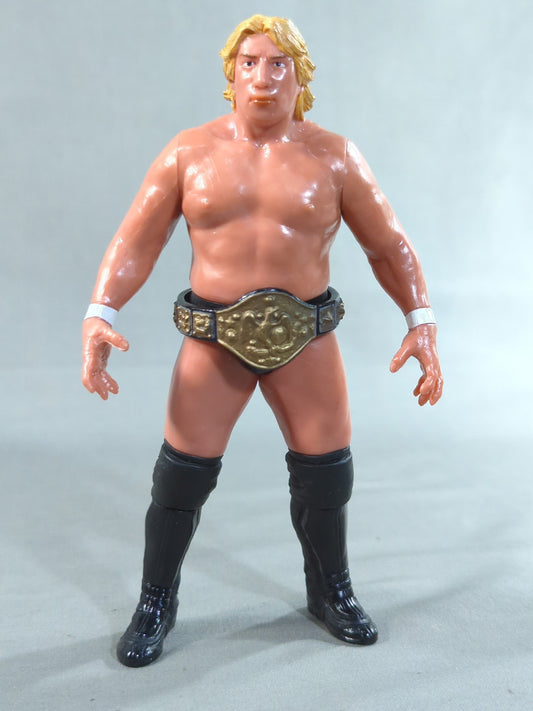 Yoshihiro Takayama  (NWF belt)