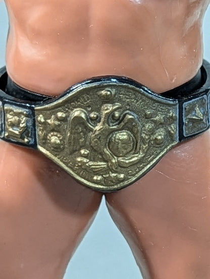 Yoshihiro Takayama  (NWF belt)