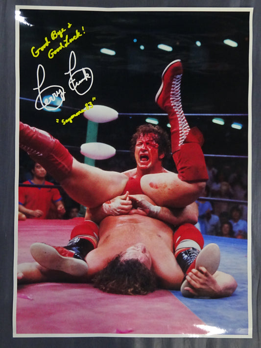 Terry Funk Posters(3)