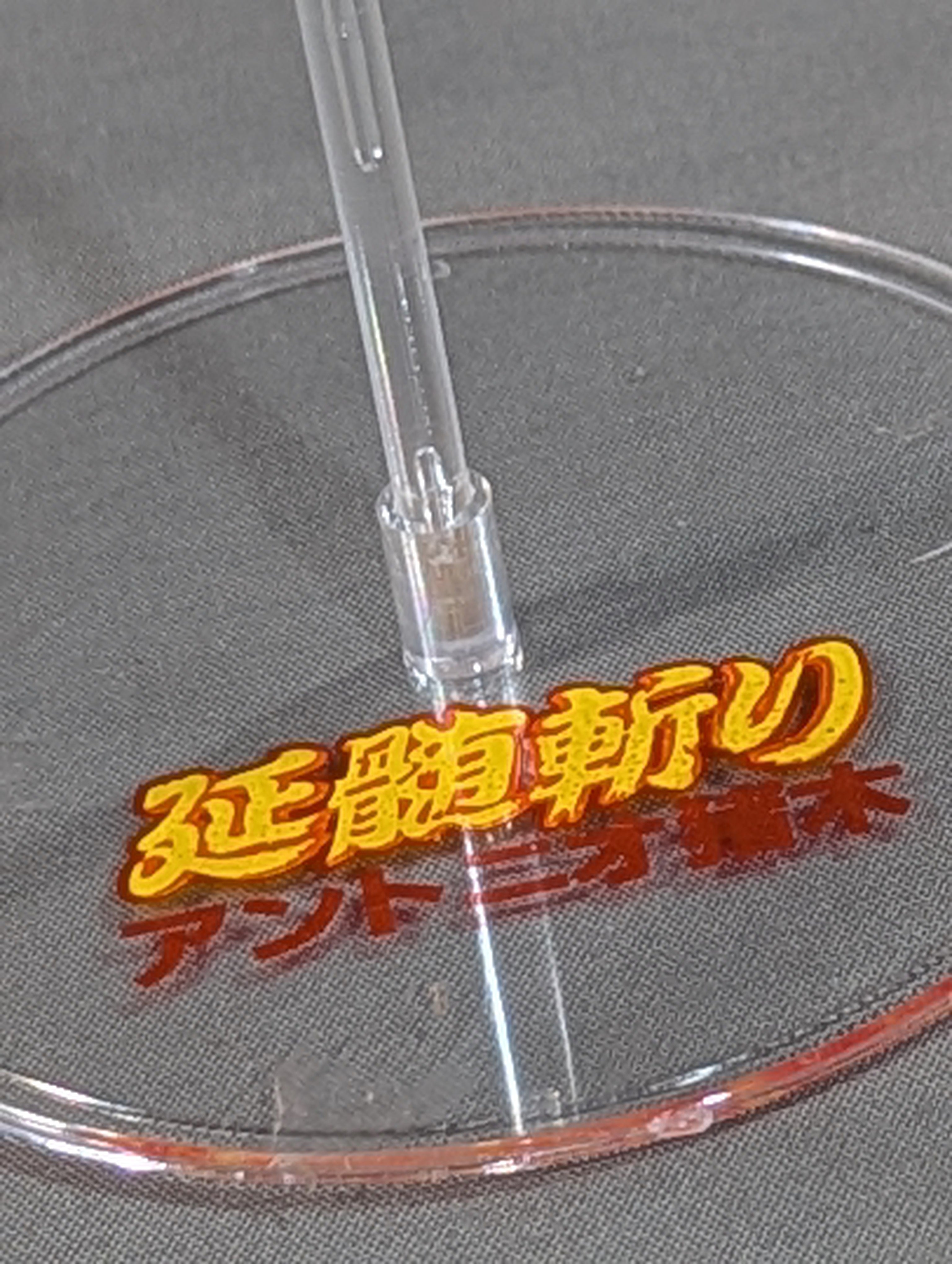 アントニオ猪木(延髄斬り) – 闘道館