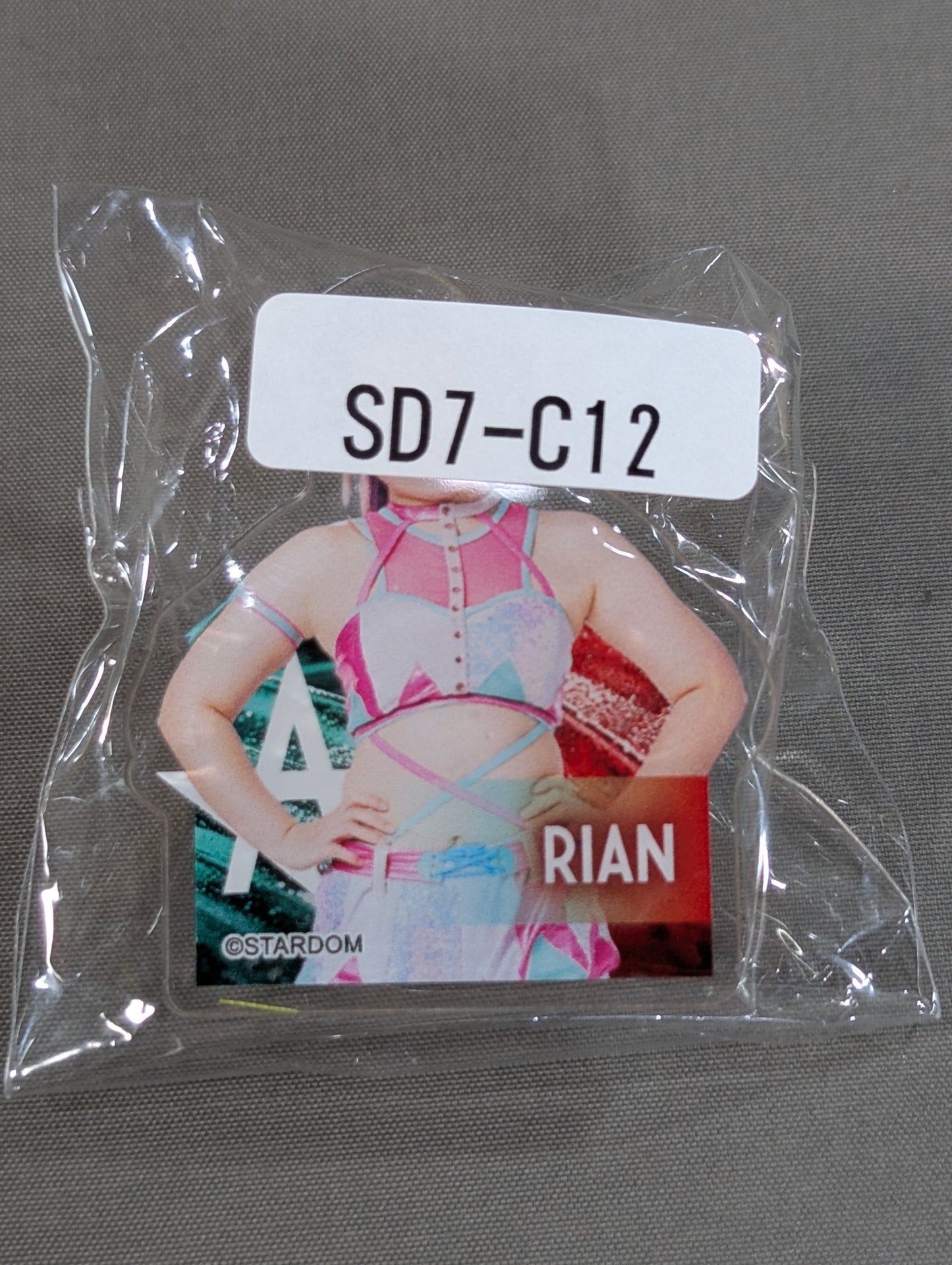 RIAN  STARDOM× Webpong Rotary Acrylic Clip
