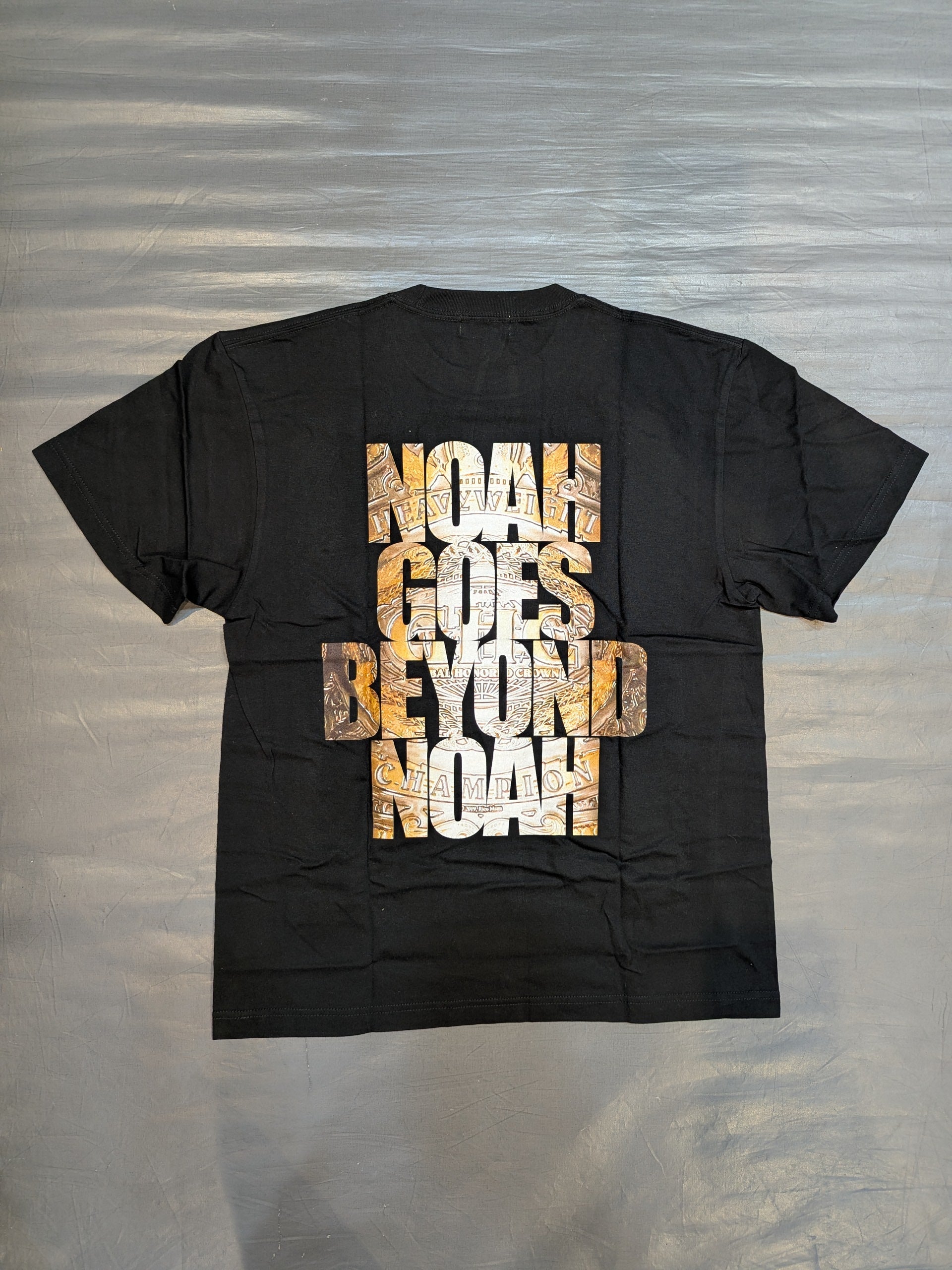 NOAH×PHOTO THE LIVE! ｢NOAHはNOAHを超えて行く」Tシャツ(ブラック