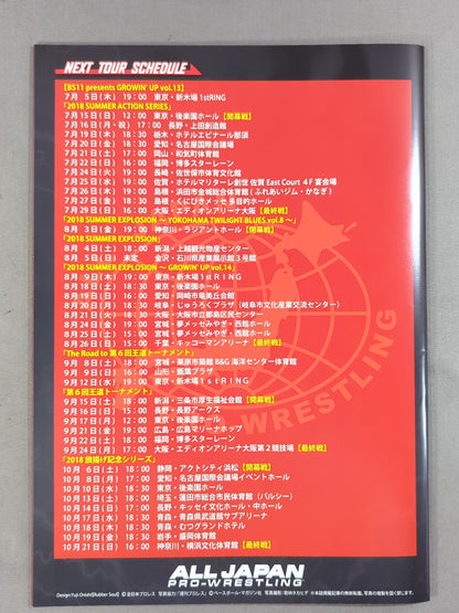 2018ダイナマイトシリーズ / 2018 DYNAMITE SERIES