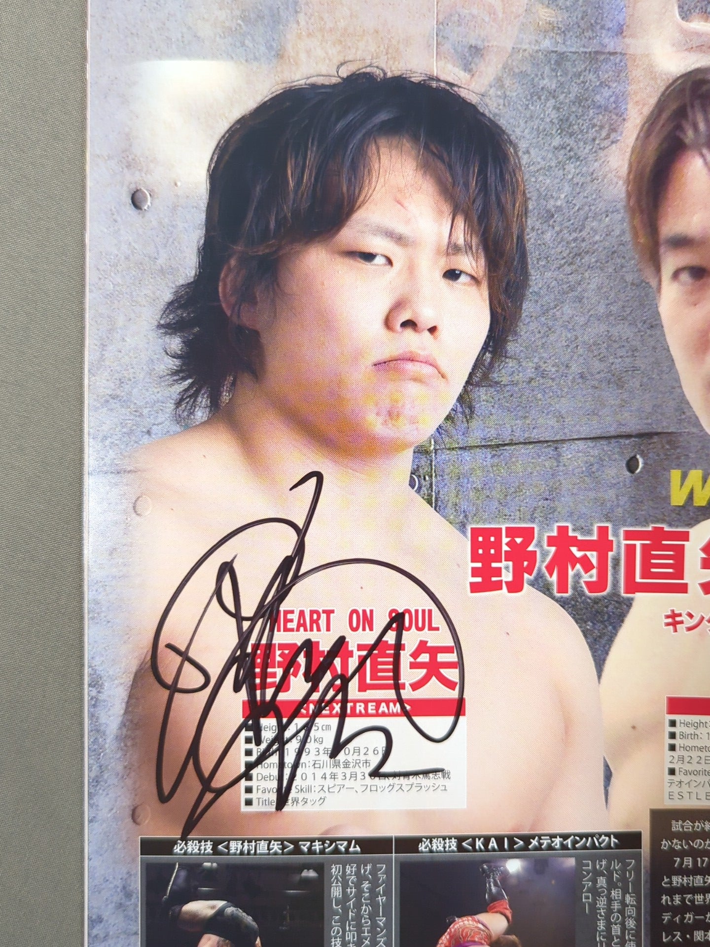 3選手直筆サイン入り】2017 SUMMER EXPLOSION 最終戦 全日本プロレス45