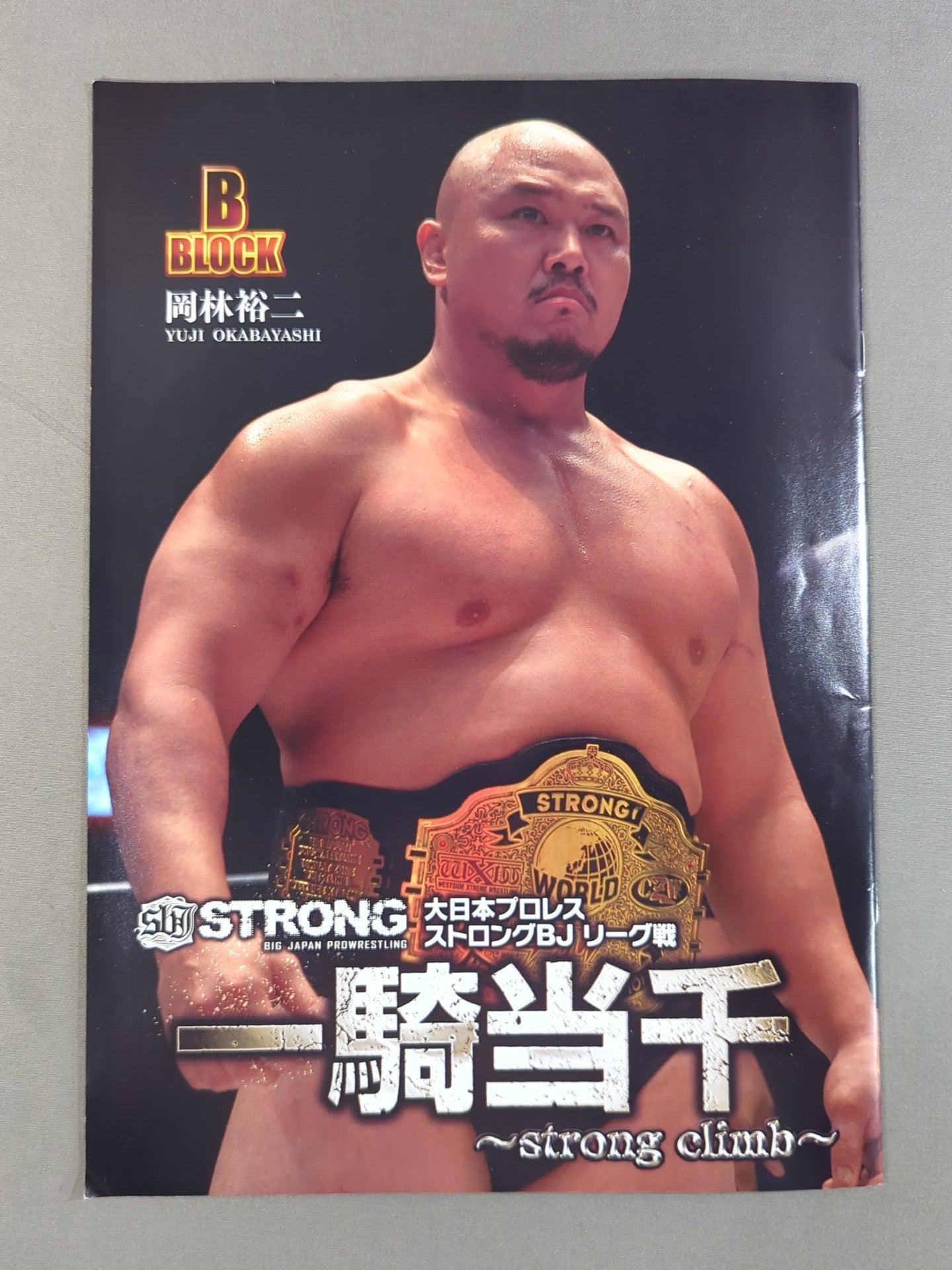 7選手直筆サイン入り】一騎当千 2016 ～strong climb～ 特製サイン帳
