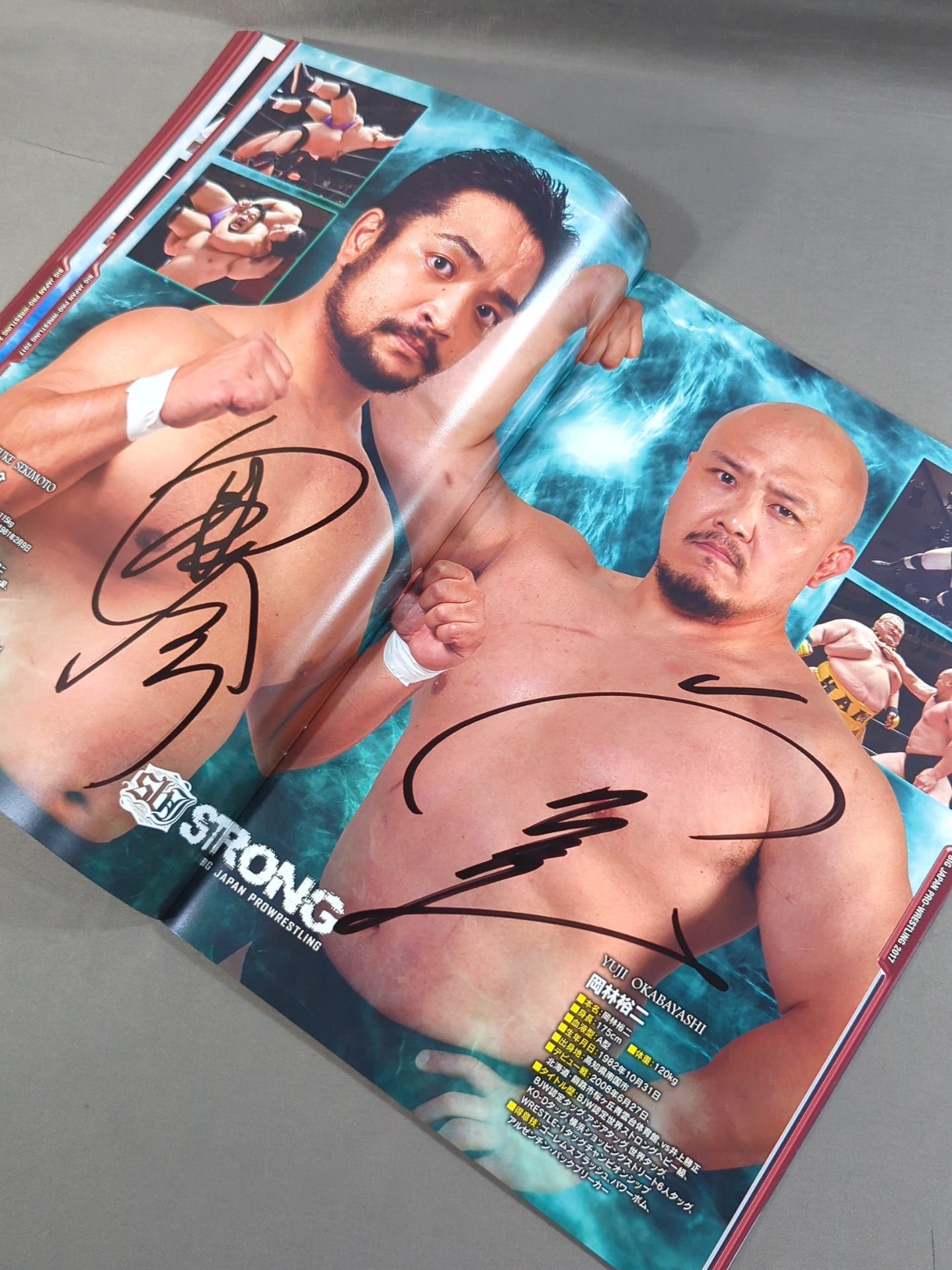 16選手直筆サイン入り】大日本プロレス BJW ONE BJ – 闘道館