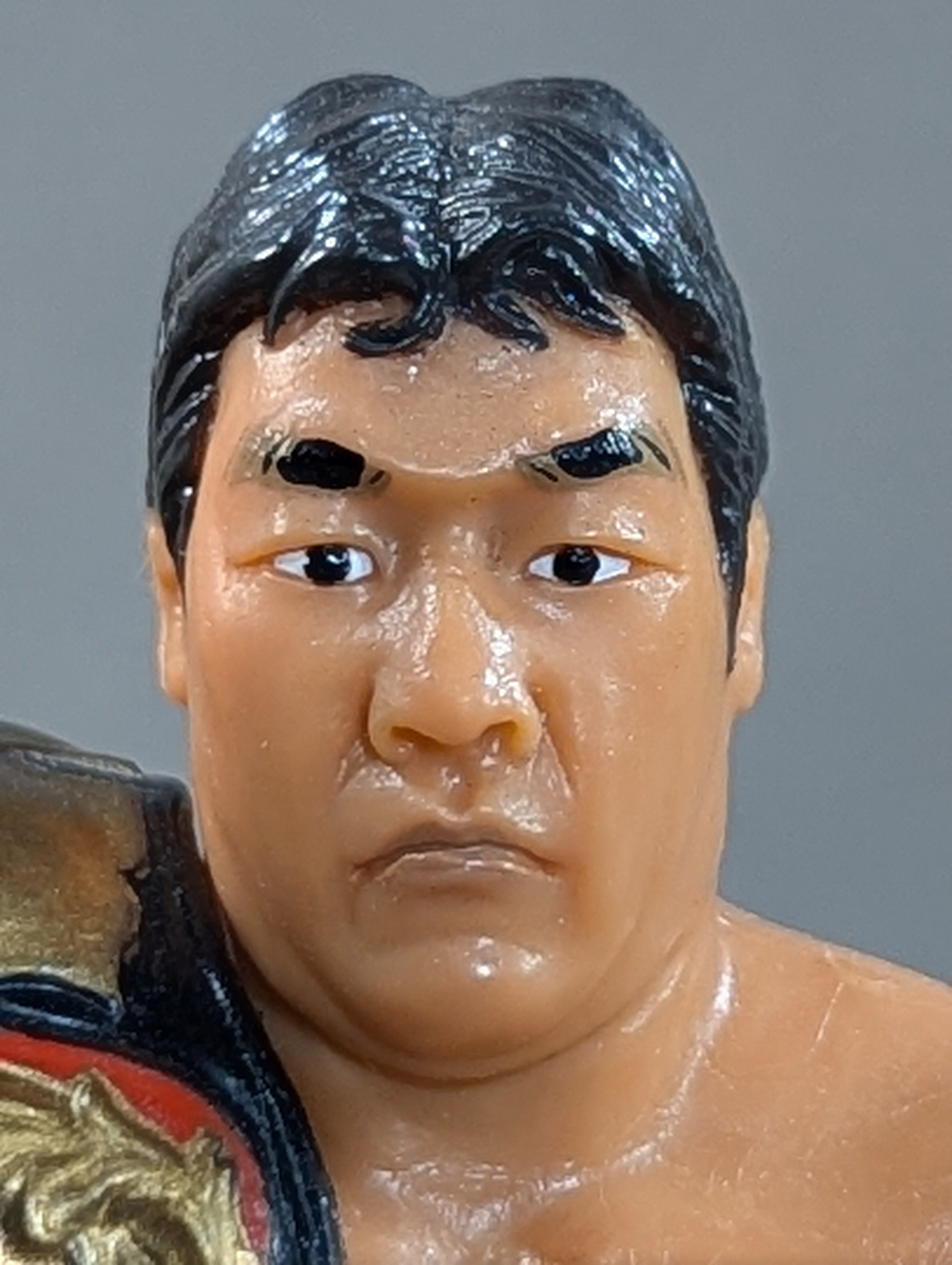 ジャンボ鶴田 – 闘道館