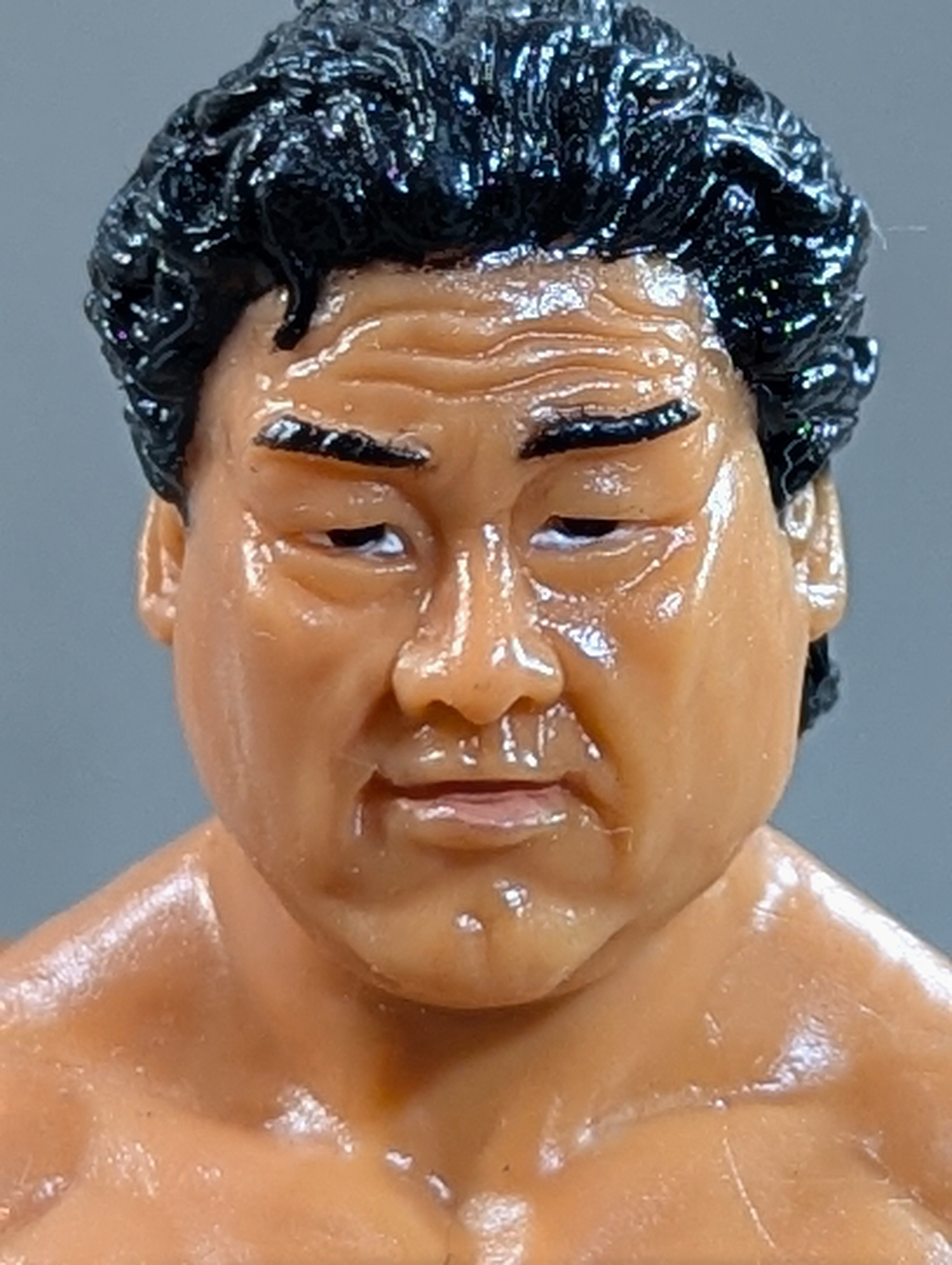 天龍源一郎 – 闘道館