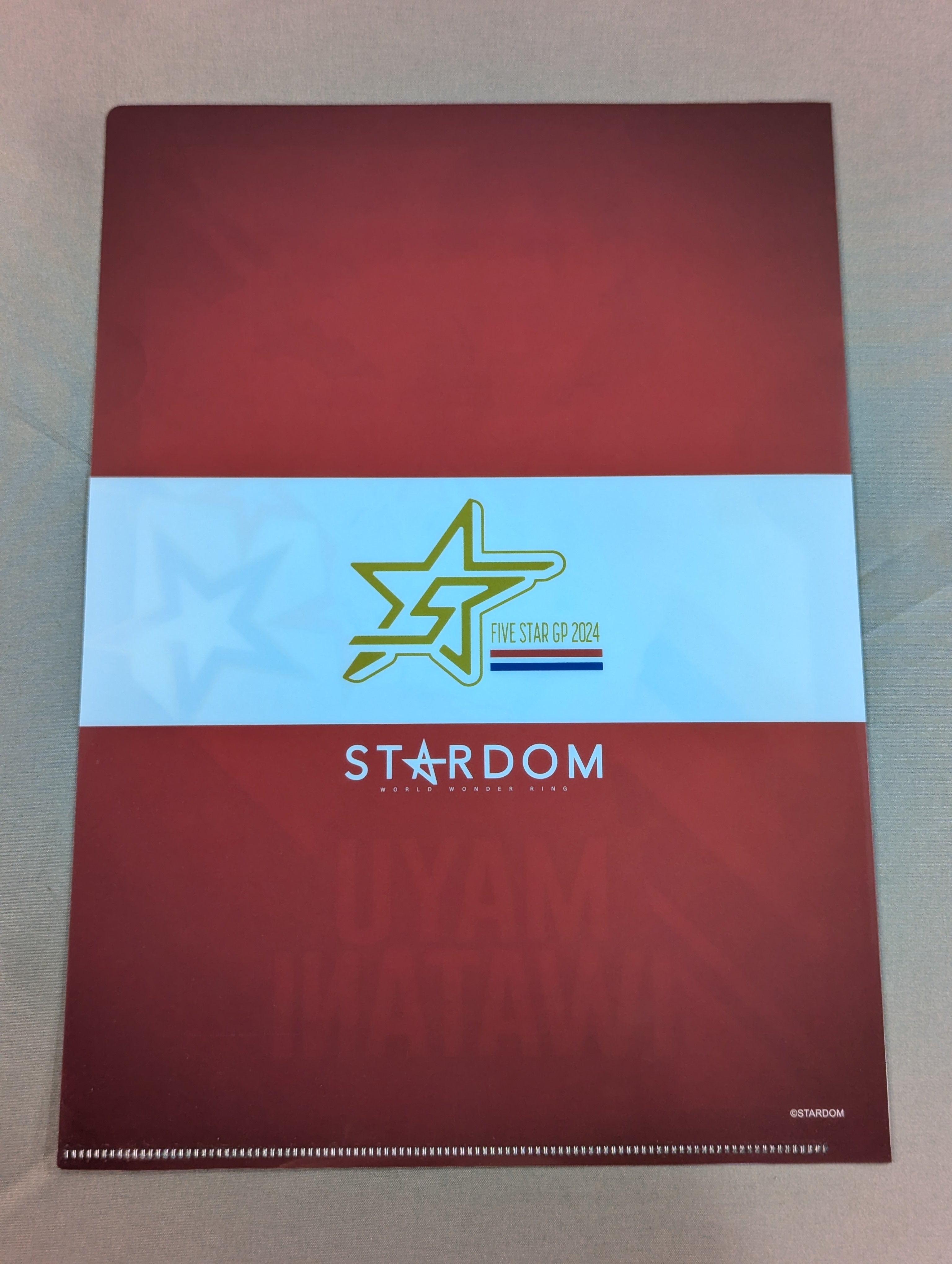 岩谷麻優 5☆STAR GP 2024 クリアファイル – 闘道館