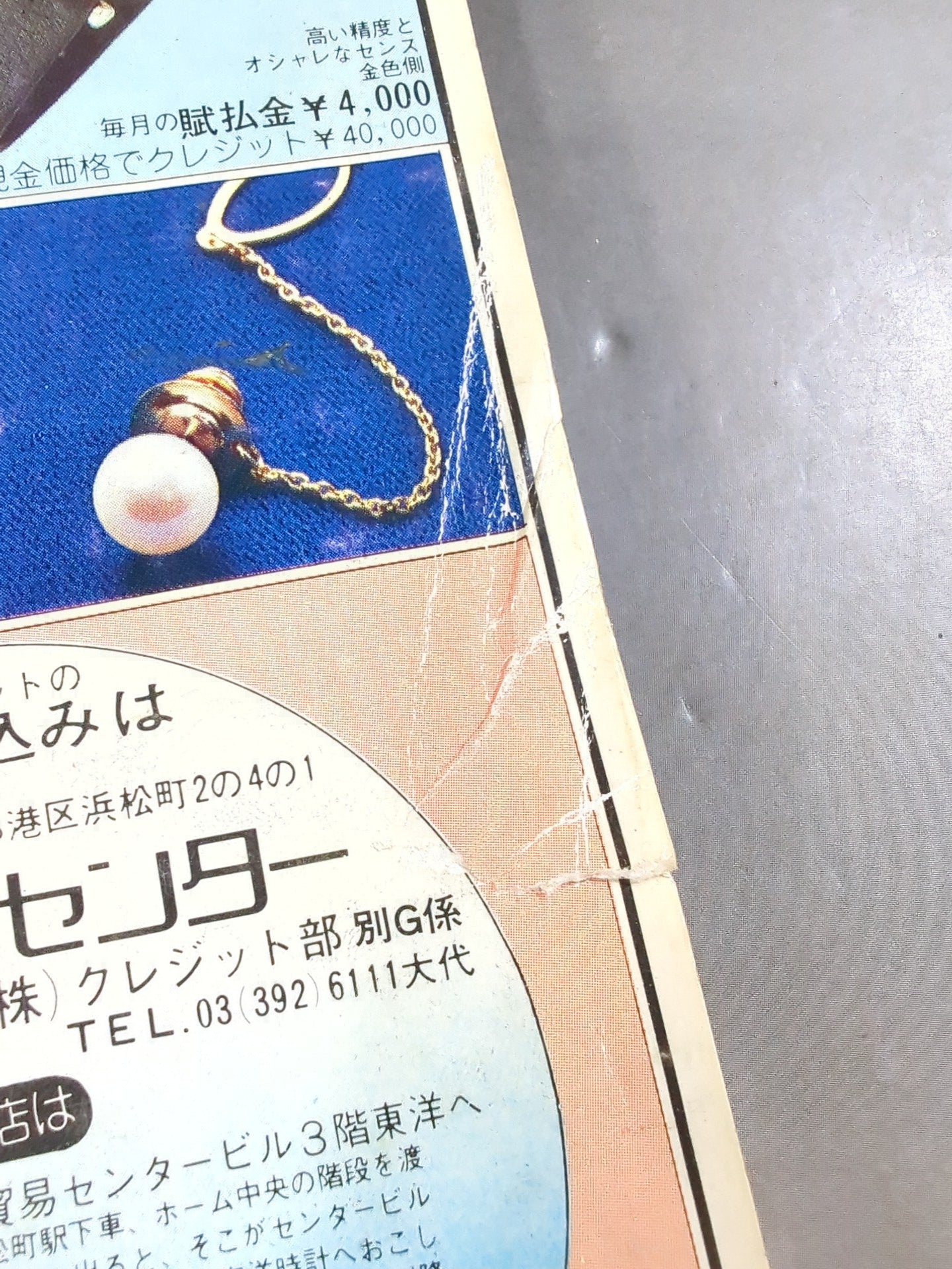 別冊ゴングVol.10 No.1 – 闘道館
