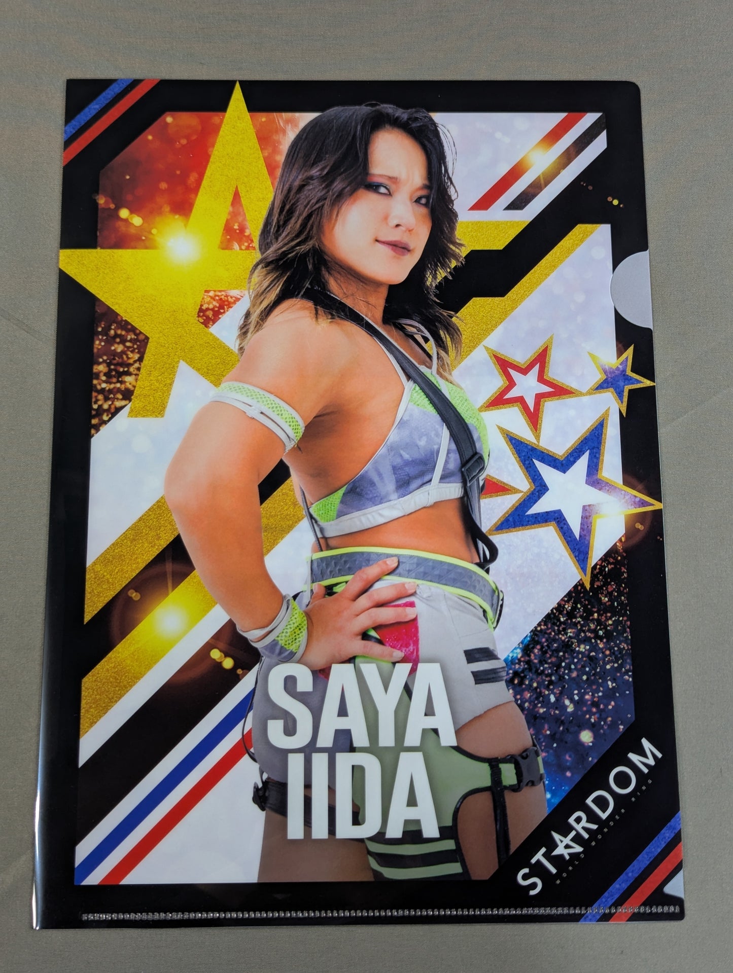 Saya Iida 5★STAR GP 2024 plastic file folder