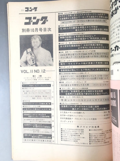 別冊ゴングVol.11 No.11