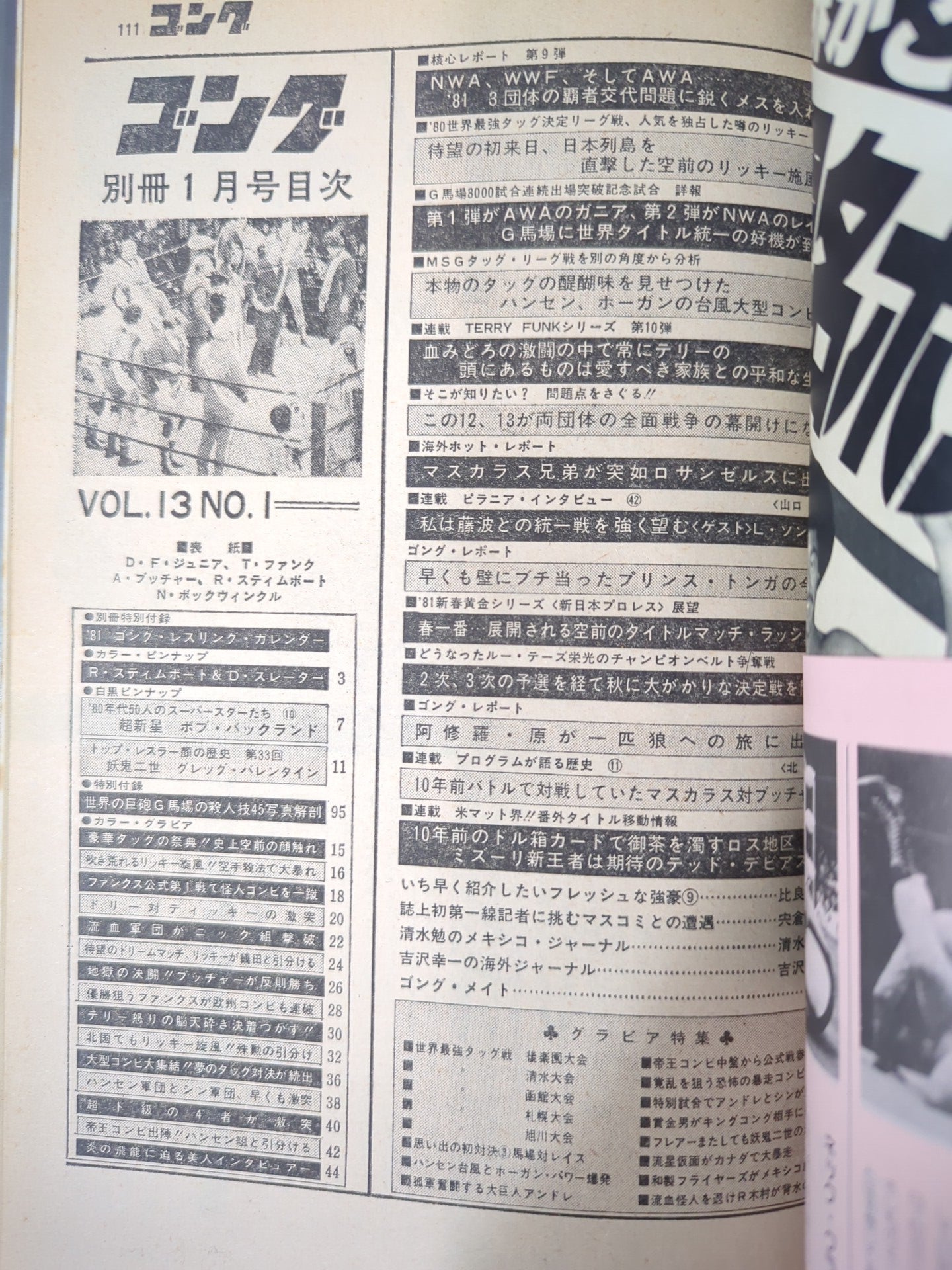 Separate Gong Vol.13 No.1