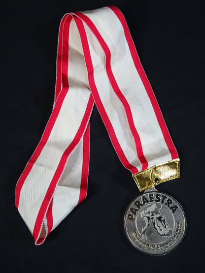Paraestra All Japan B.J.J Open Tournament Silver Medal