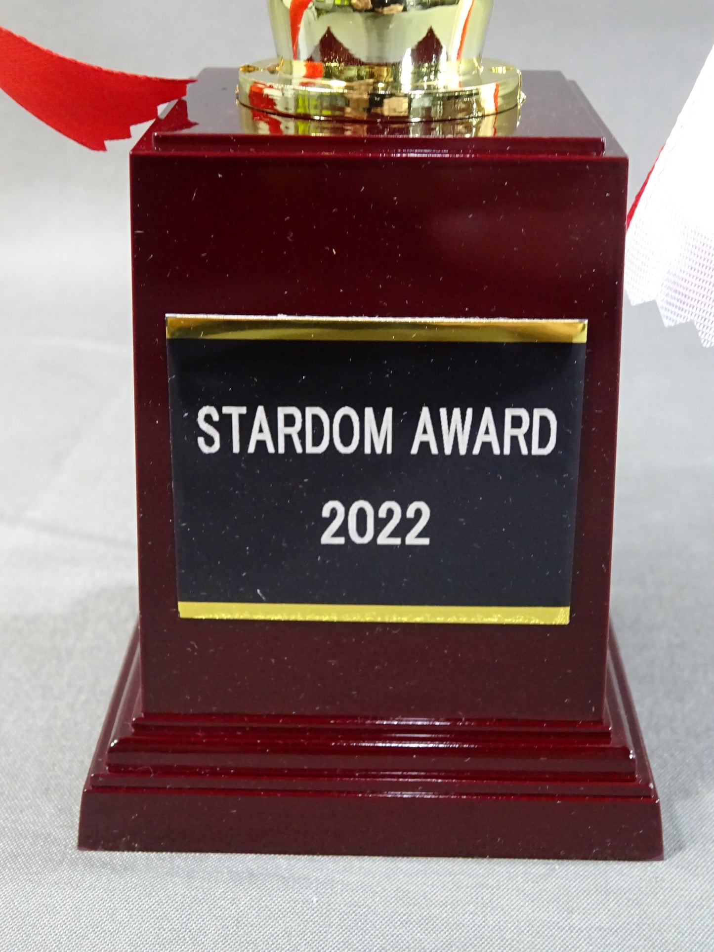 ★STARDOM AWARD 2022★ Replica Commemorative Trophy