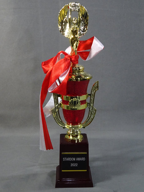 ★STARDOM AWARD 2022★ レプリカ記念トロフィー