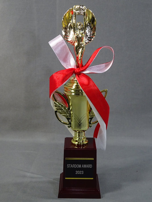 ★STARDOM AWARD 2023★ レプリカ記念トロフィー
