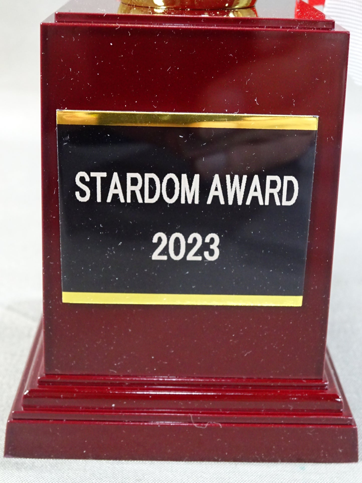 ★STARDOM AWARD 2023★ Replica Commemorative Trophy