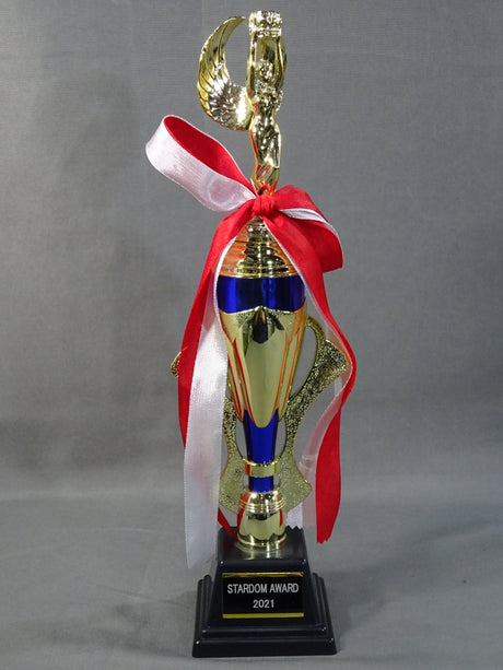 ★STARDOM AWARD 2021★ レプリカ記念トロフィー
