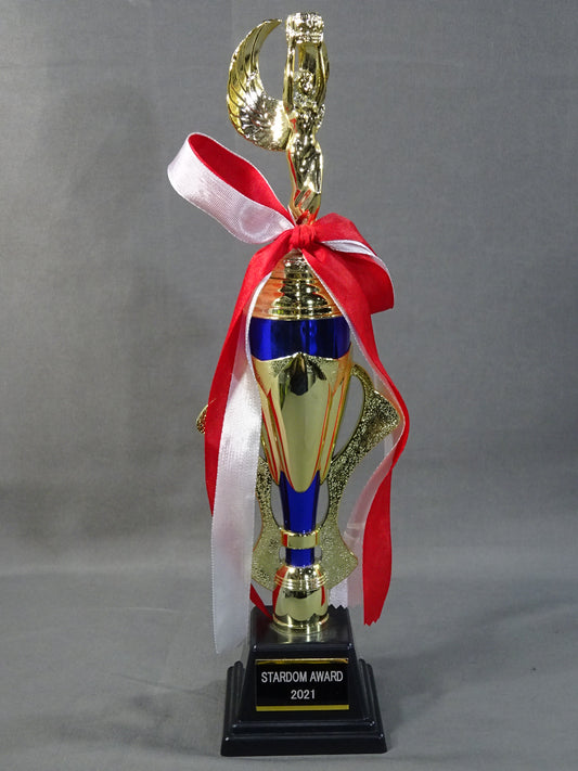 ★STARDOM AWARD 2021★ レプリカ記念トロフィー