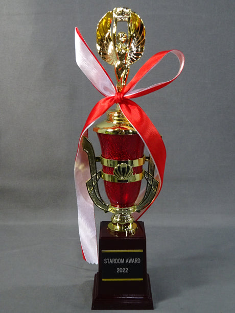 ★STARDOM AWARD 2022★ レプリカ記念トロフィー