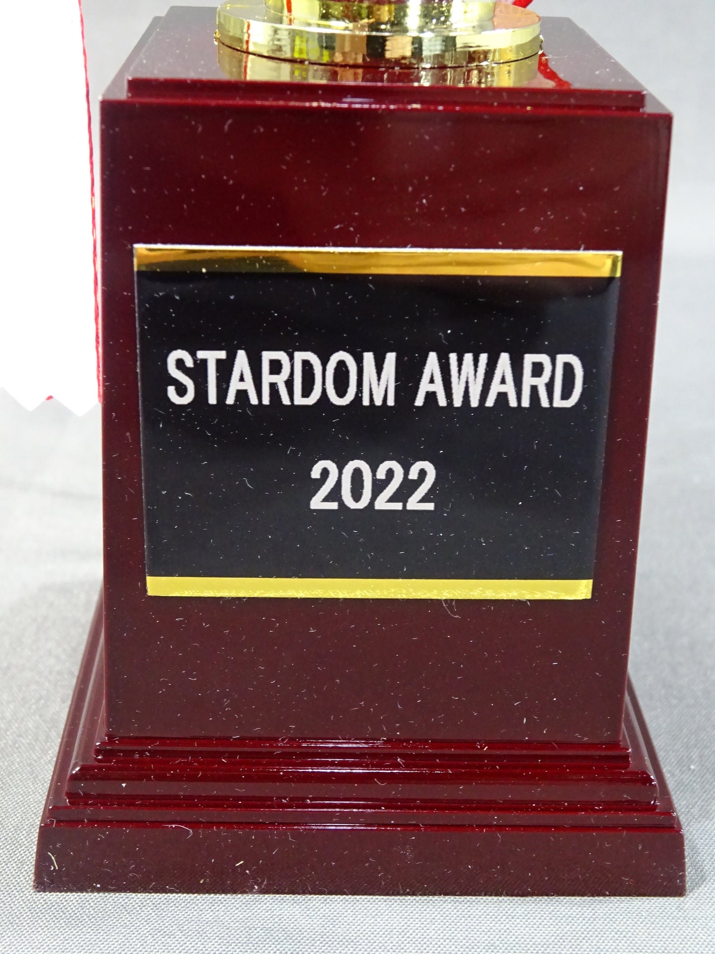 ★STARDOM AWARD 2022★ Replica Commemorative Trophy